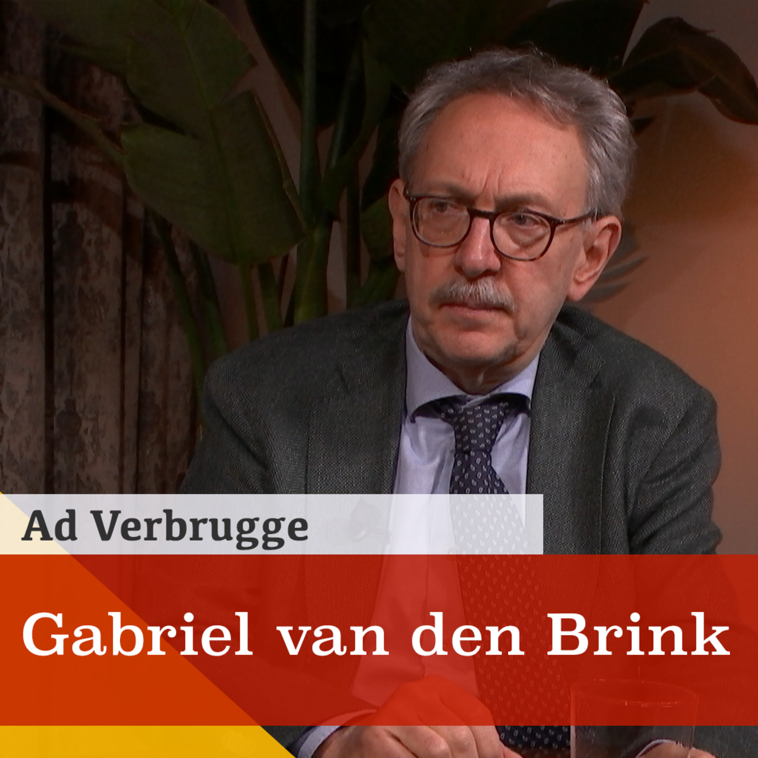 Gabriel van den Brink over zijn nieuwe boek 'Ruw ontwaken uit de neoliberale droom' episode artwork