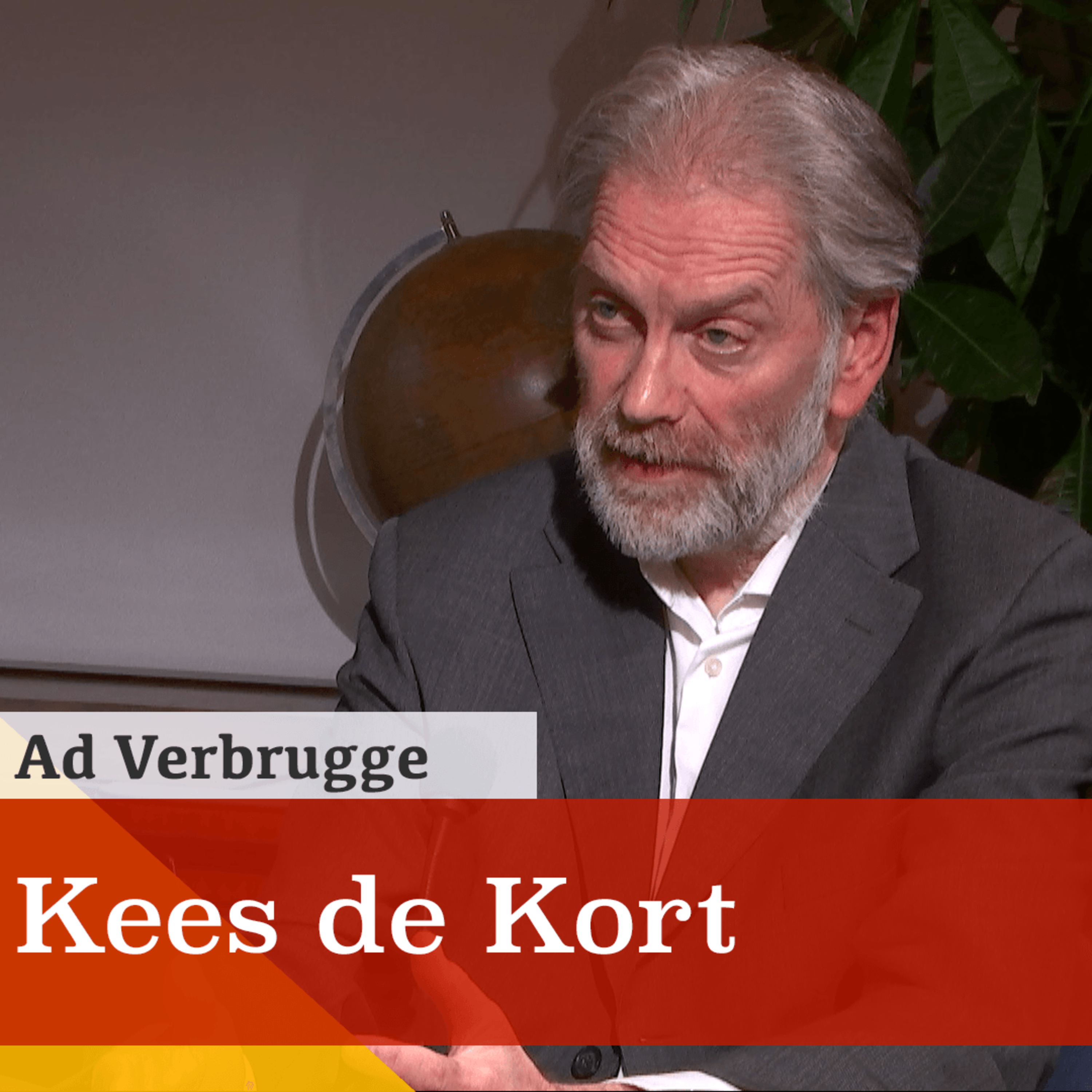 Kees de Kort: Schokkende cijfers over sterftecijfers IC's tijdens coronacrisis. Klopt dit echt? episode artwork