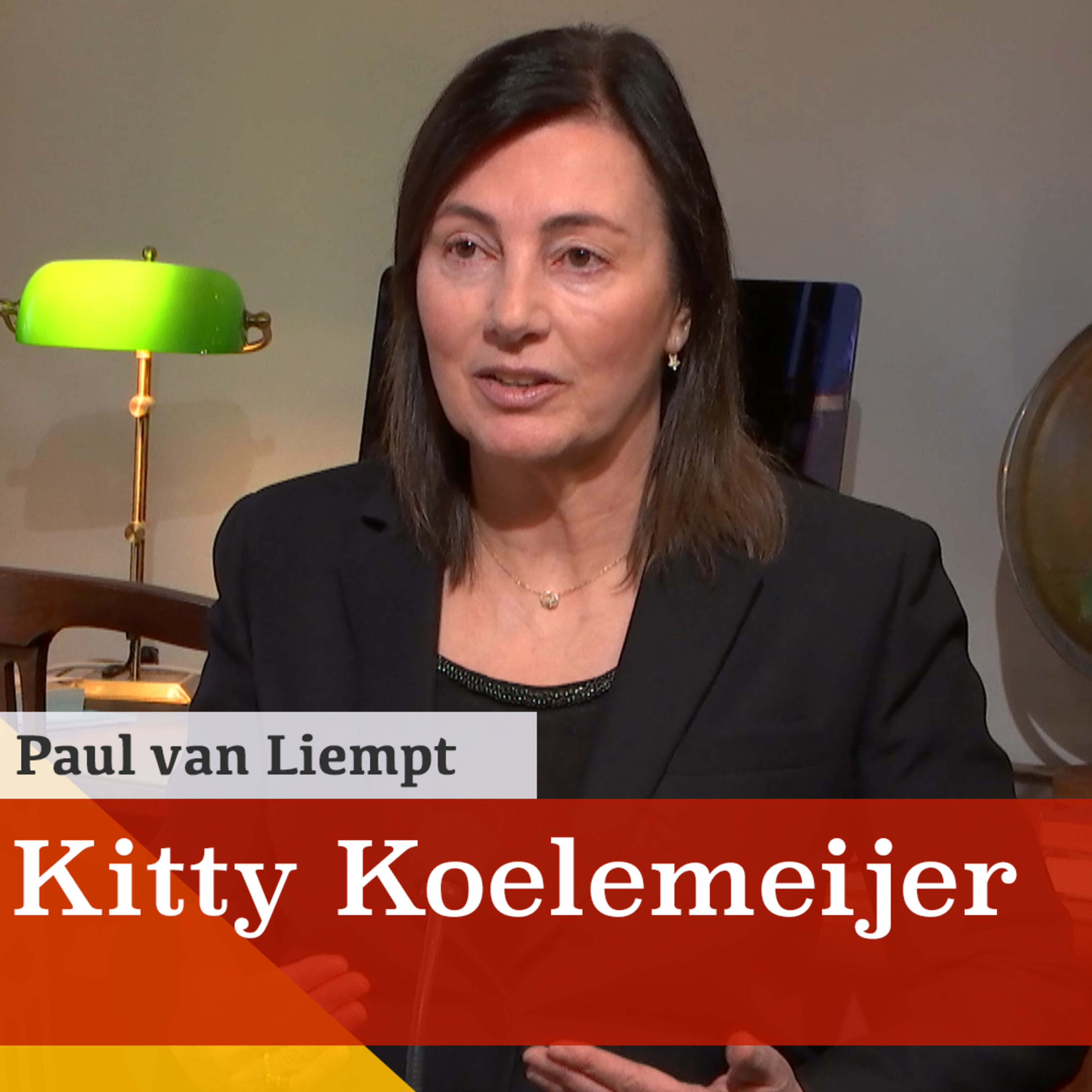 Bloedbad in retail! Gesprek met hoogleraar retailing & marketing Kitty Koelemeijer episode artwork