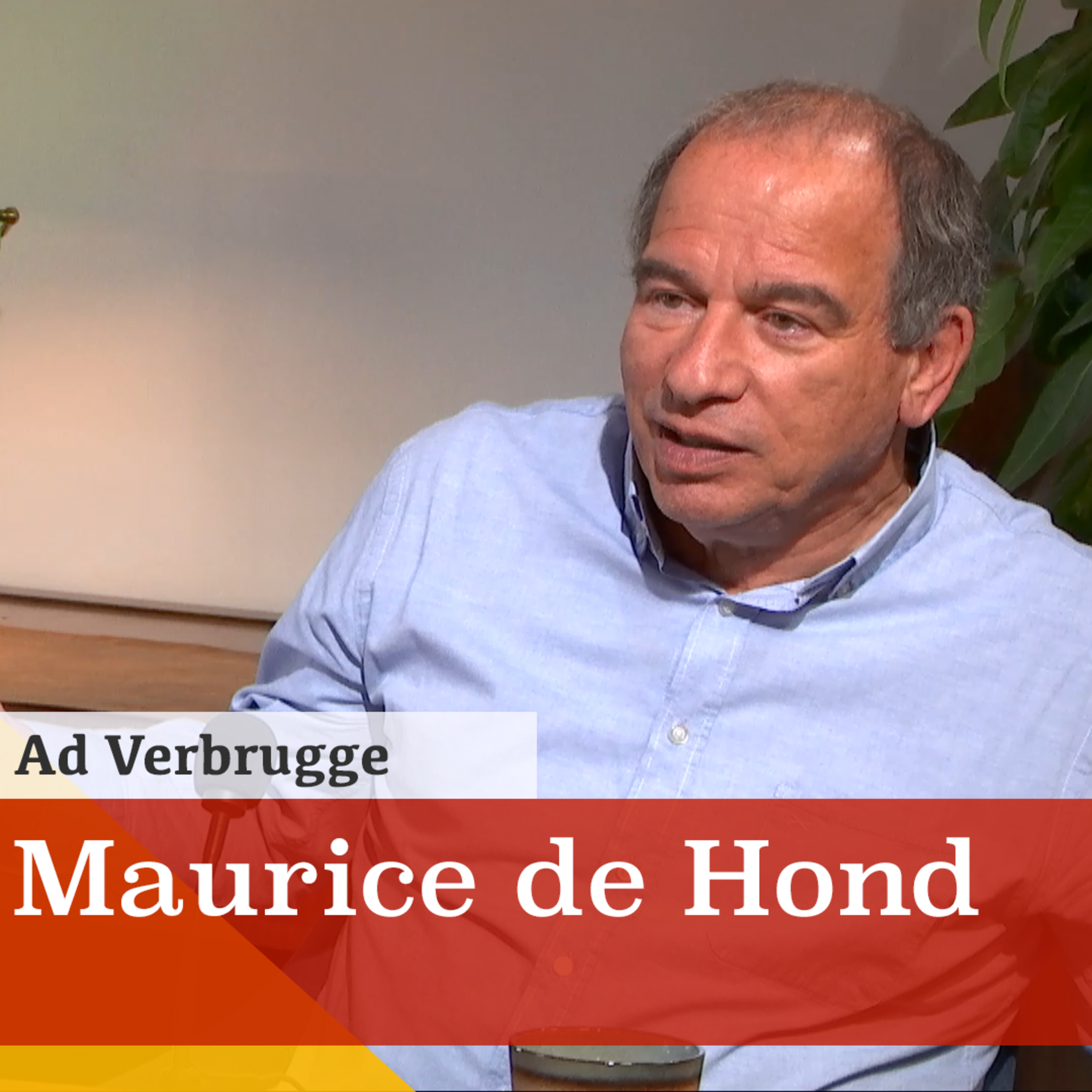 Quarantainebeleid niet gebaseerd op wat cijfers leren over corona. In gesprek met Maurice de Hond. episode artwork