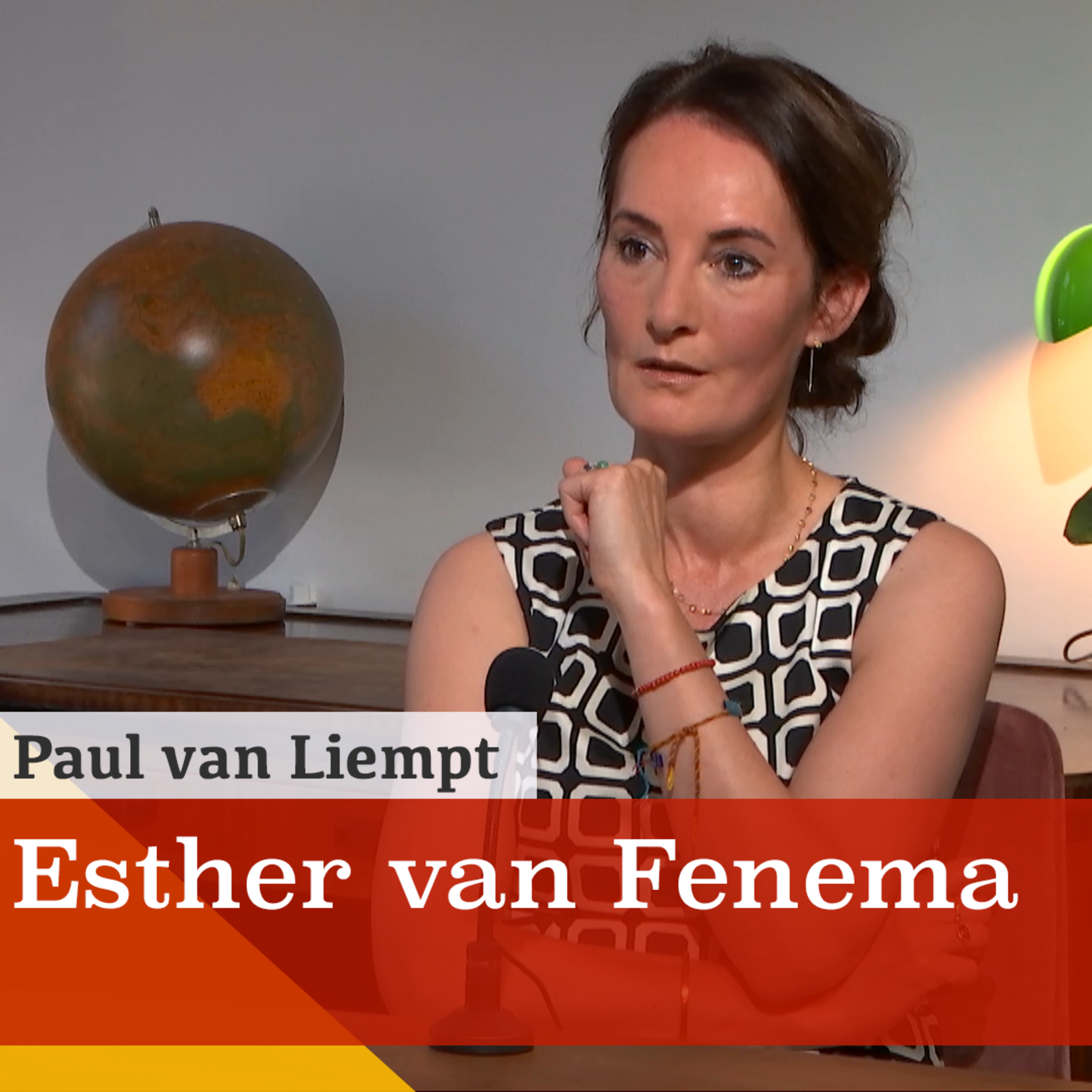 De mondkapjes-soap en de malafide deals. Esther van Fenema over transformatie in de zorg episode artwork