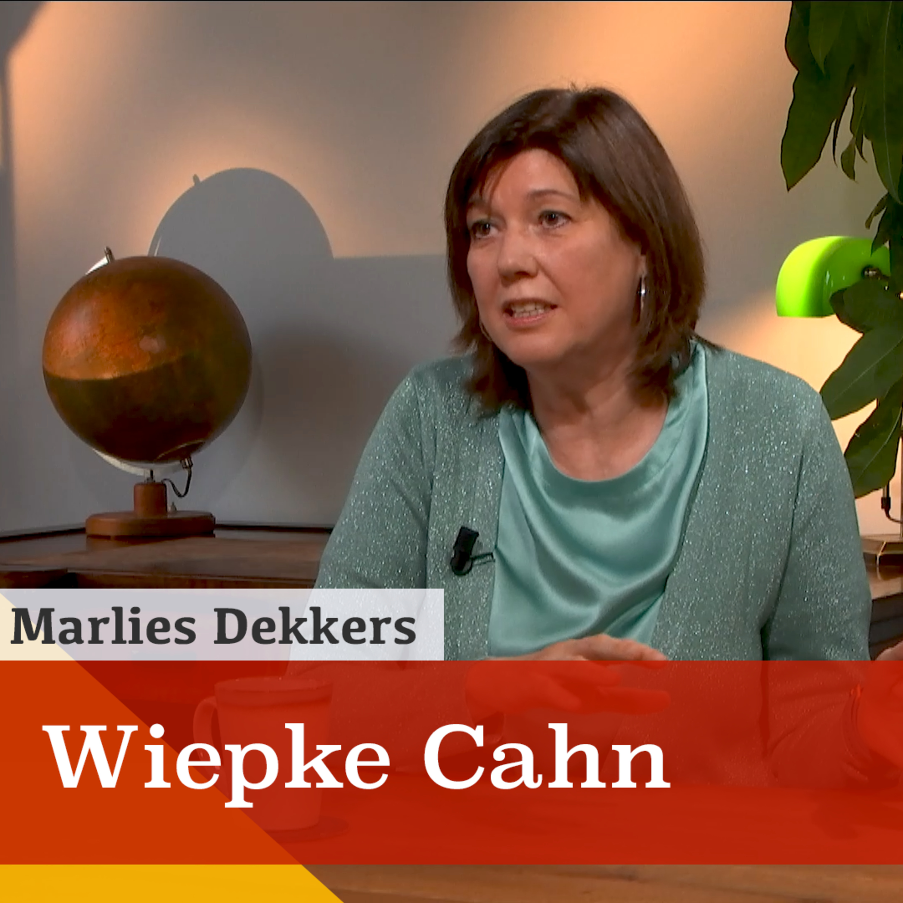 'Zet kennis van darmen, voeding en leefstijl in tegen depressie'. Een gesprek met Wiepke Cahn episode artwork
