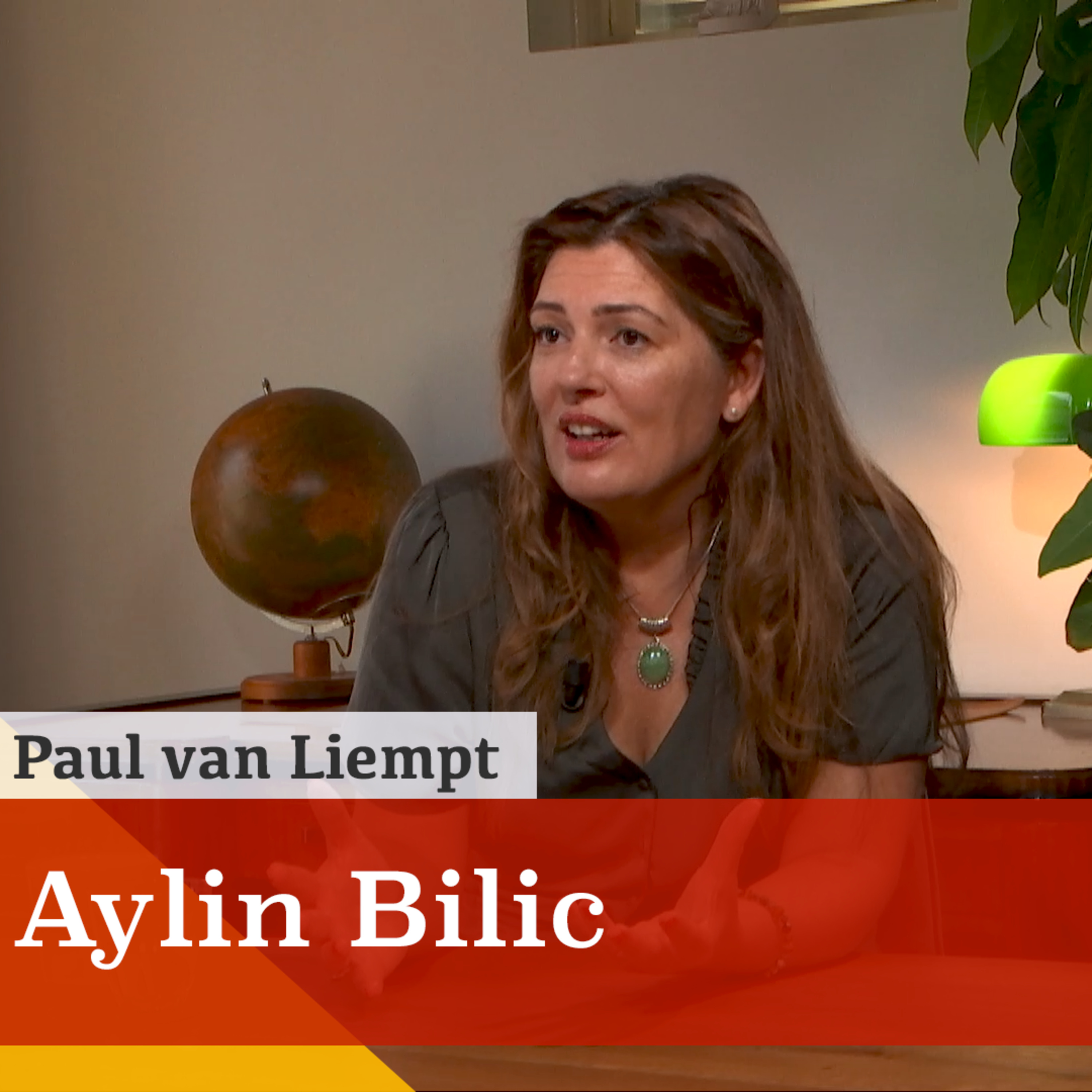 ‘Het woord identiteit kan ik niet meer horen.’ Een gesprek met Aylin Bilic episode artwork