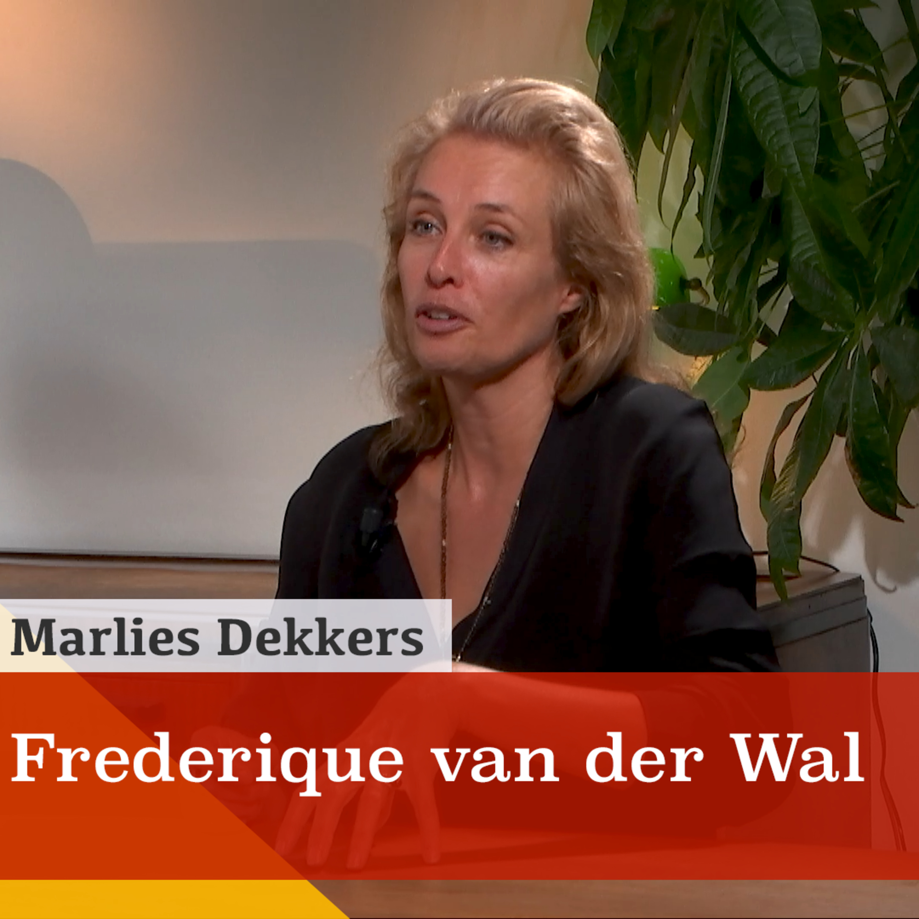 'New York is een 'ghost town' door corona.' Een gesprek met supermodel Frederique van der Wal episode artwork