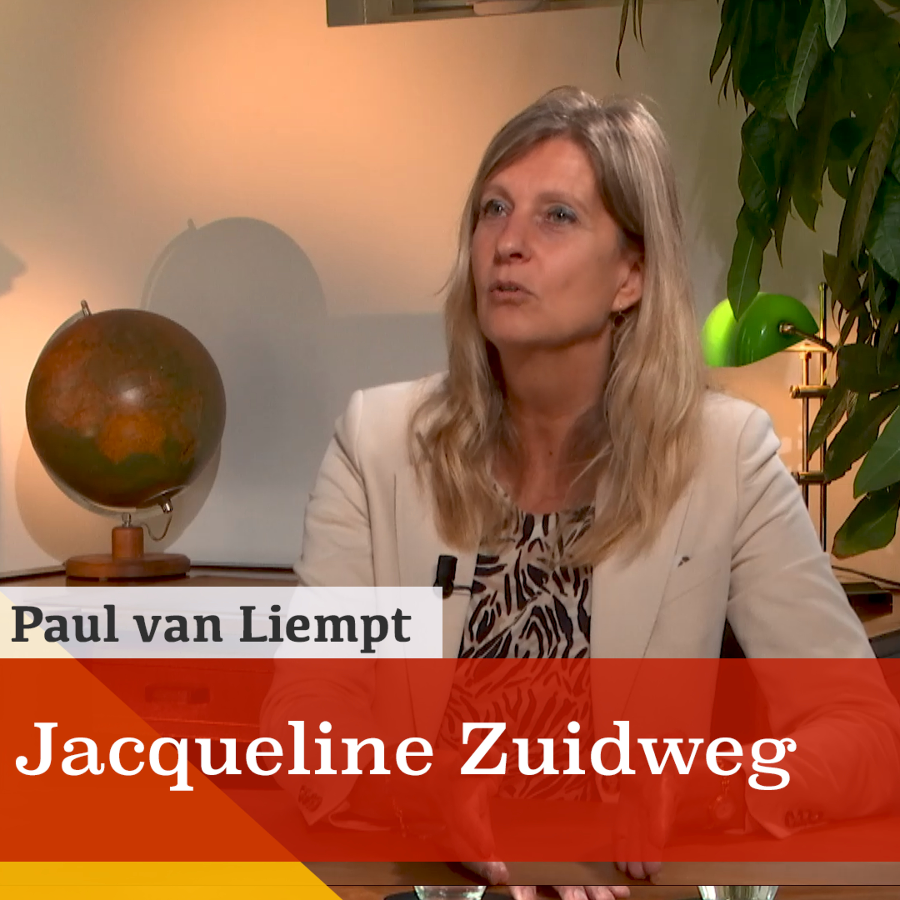 Stilte voor de storm voor ondernemers. Een gesprek met Jacqueline Zuidweg episode artwork