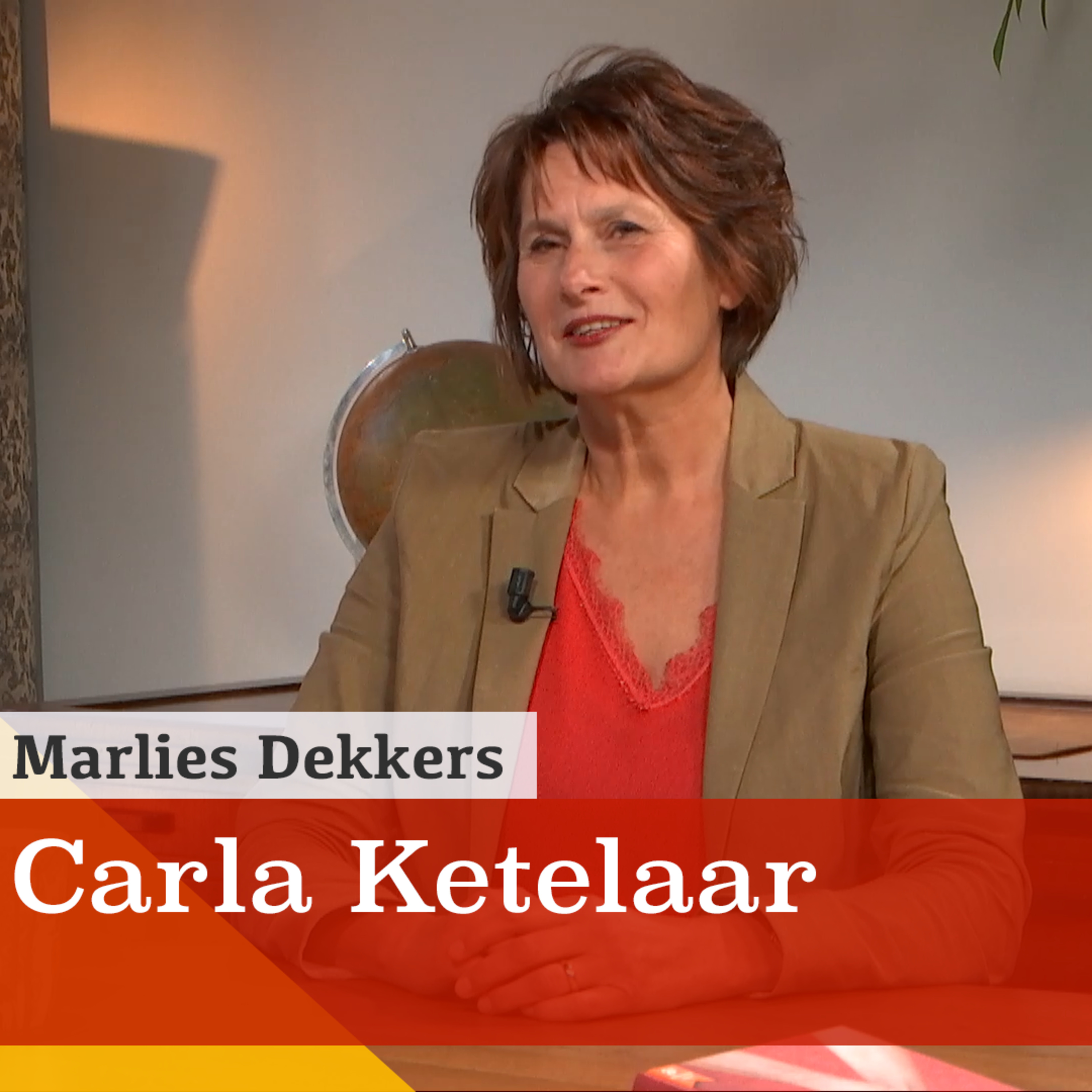 Hoe de ware liefdespartner te vinden? Een gesprek met liefdesexpert Carla Ketelaar episode artwork