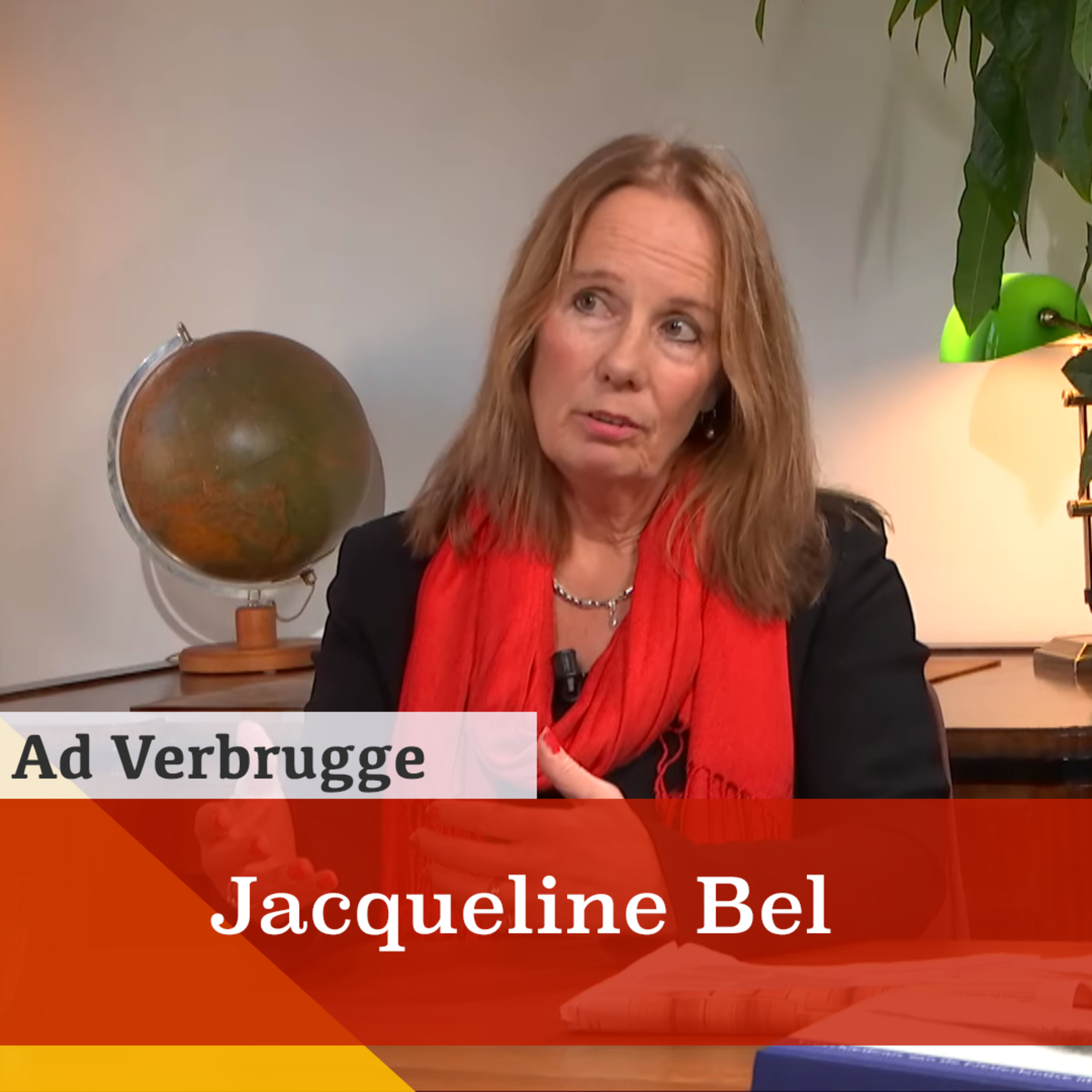 De verschraling van de taalcultuur in Nederland. Een gesprek met Jacqueline Bel episode artwork