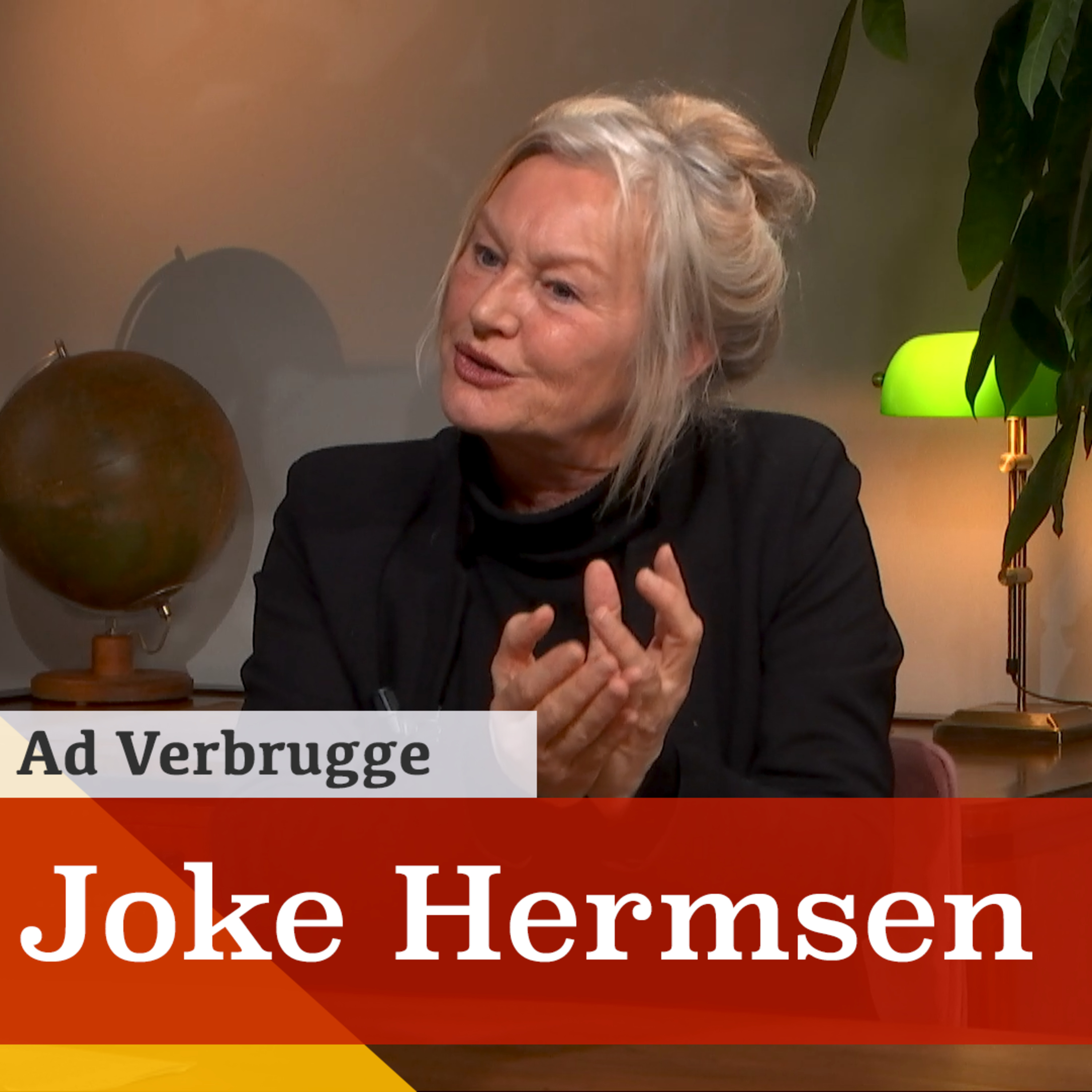 Kunst is onontbeerlijk voor de democratie. Een gesprek met Joke Hermsen episode artwork