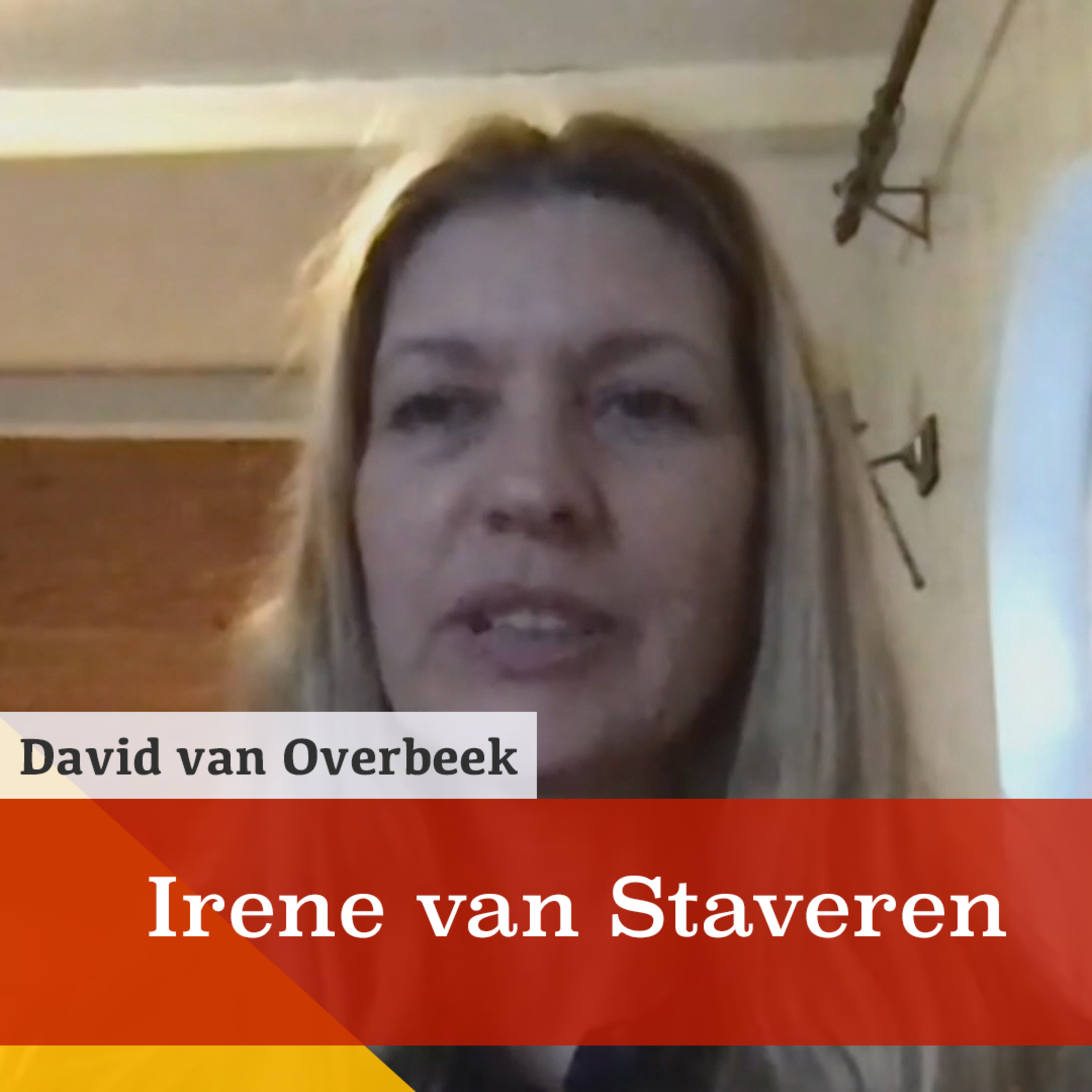 'Ons economisch systeem is onhoudbaar.' Een gesprek met Irene van Staveren episode artwork