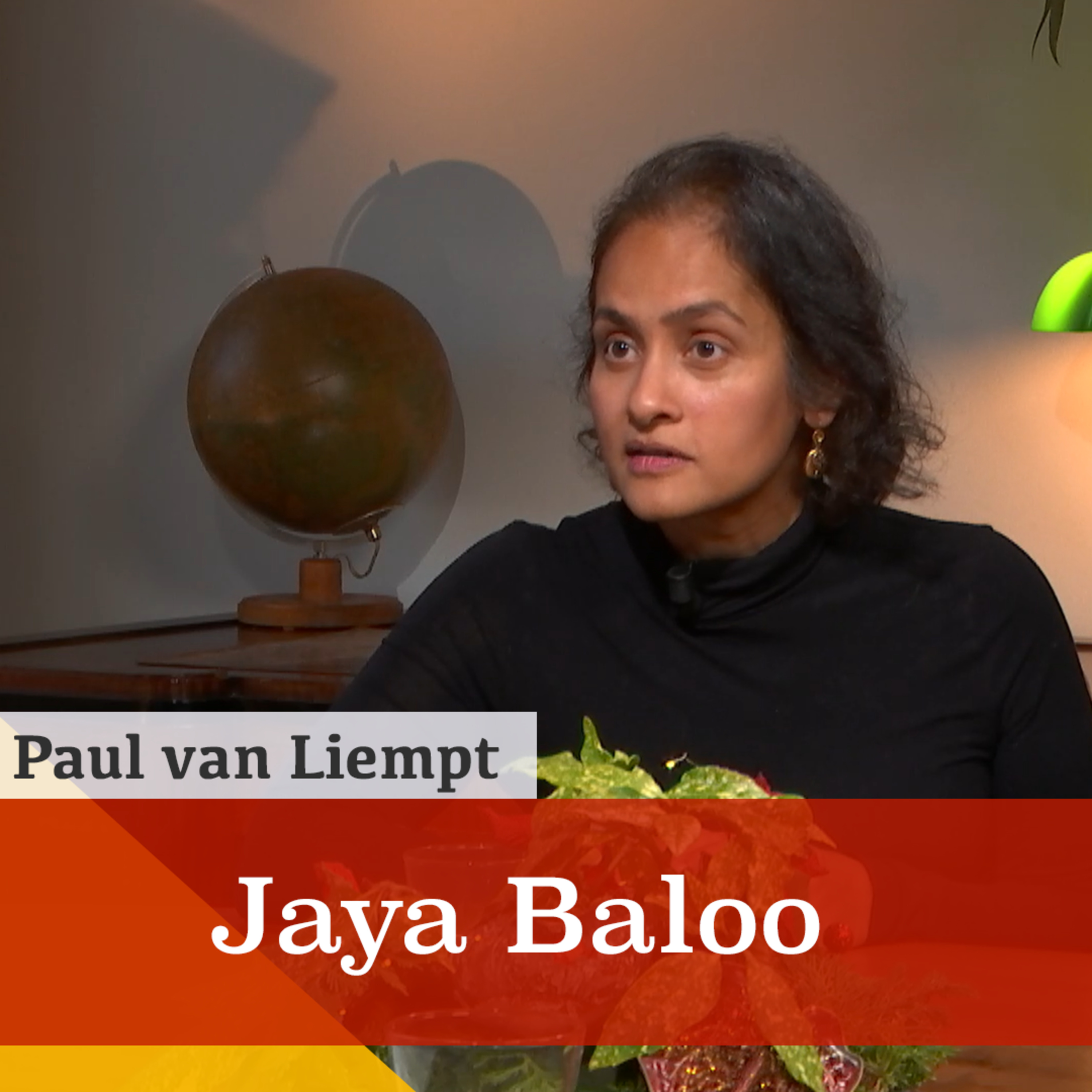 'Nu actie tegen digitale ontwrichting opvoeren.' Een gesprek met Jaya Baloo episode artwork