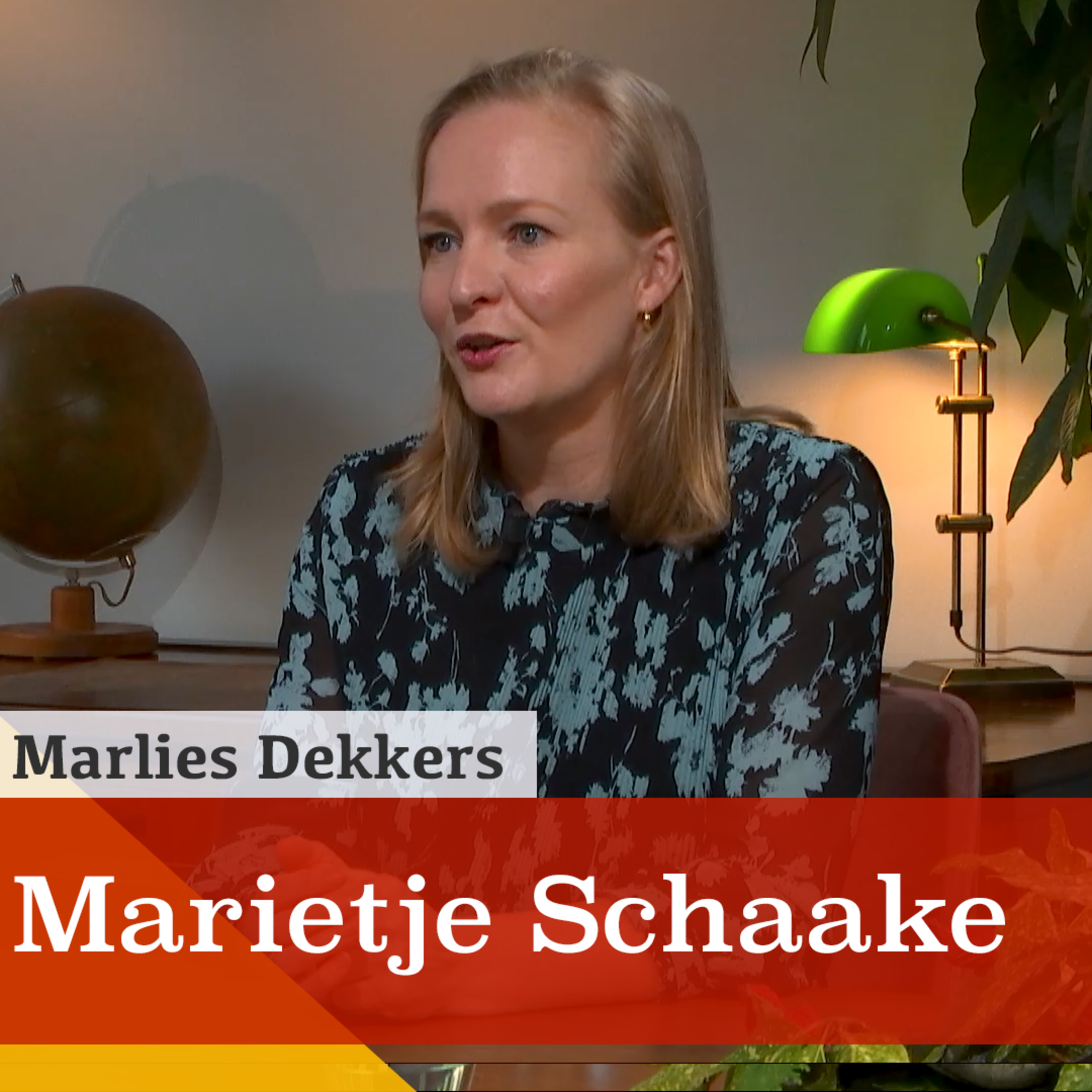 De bizarre week van big tech. Een gesprek met Marietje Schaake episode artwork