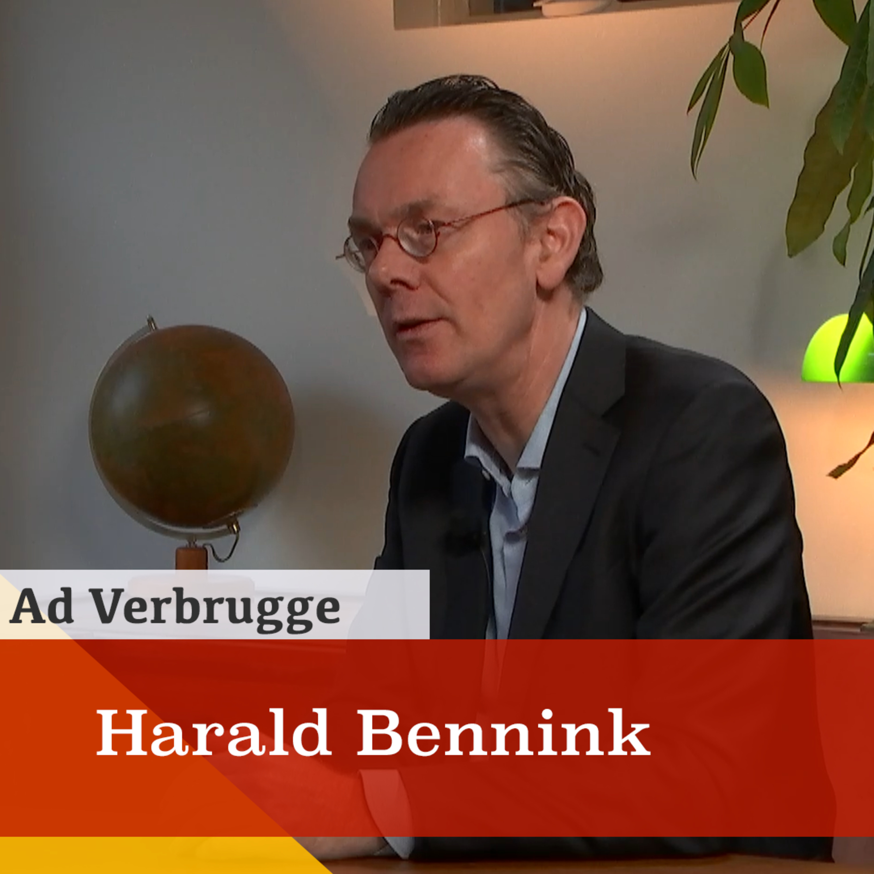 'Financiële sector extreem kwetsbaar door falende handhaving.' Een gesprek met Harald Benink episode artwork