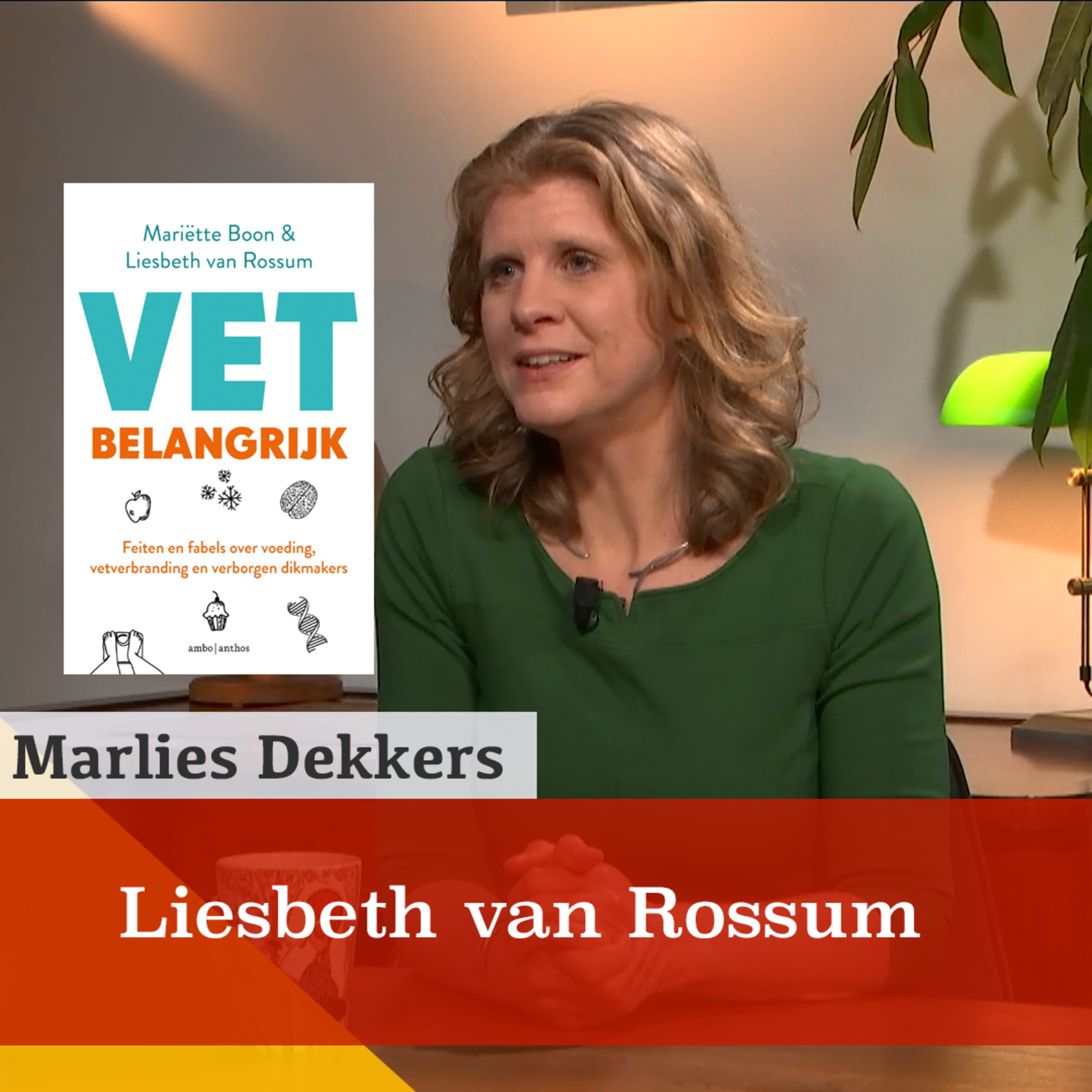 Waarom is afvallen zo complex? Een gesprek met Liesbeth van Rossum episode artwork