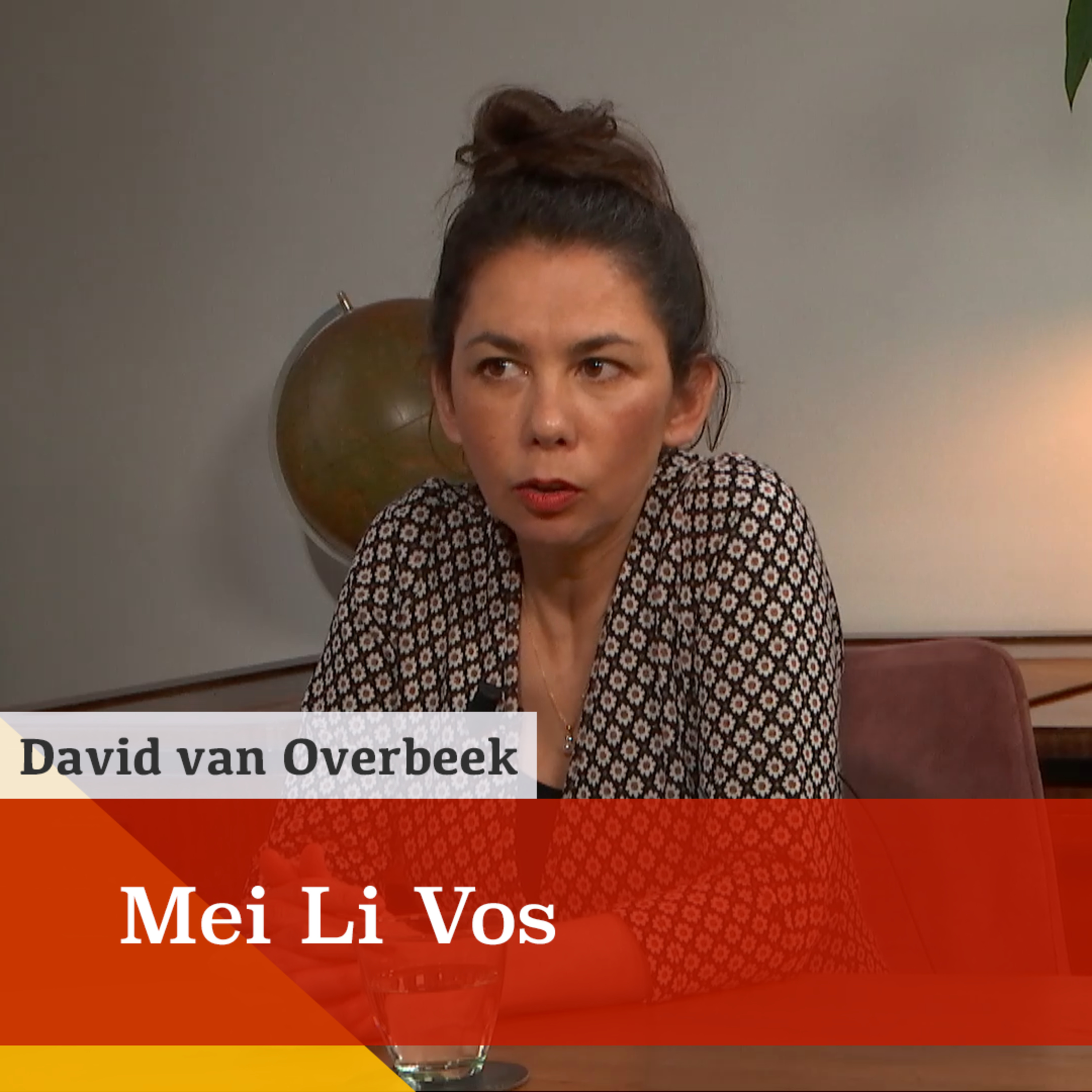 De Hema redden van het roofkapitalisme? Een gesprek met Mei Li Vos over een nieuwe insteek episode artwork