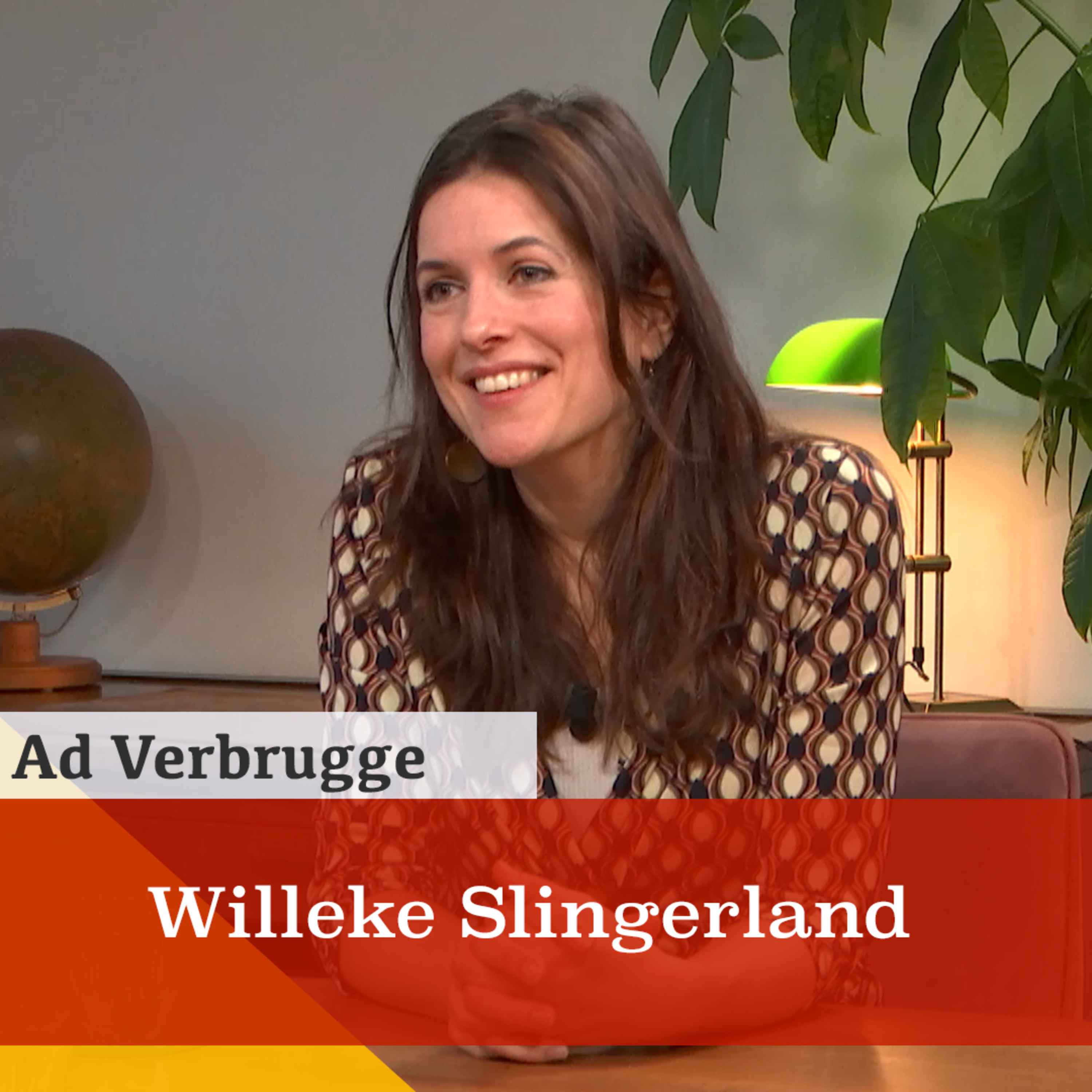 'Netwerkcorruptie ondergraaft de democratische rechtsstaat.' Een gesprek met Willeke Slingerland episode artwork