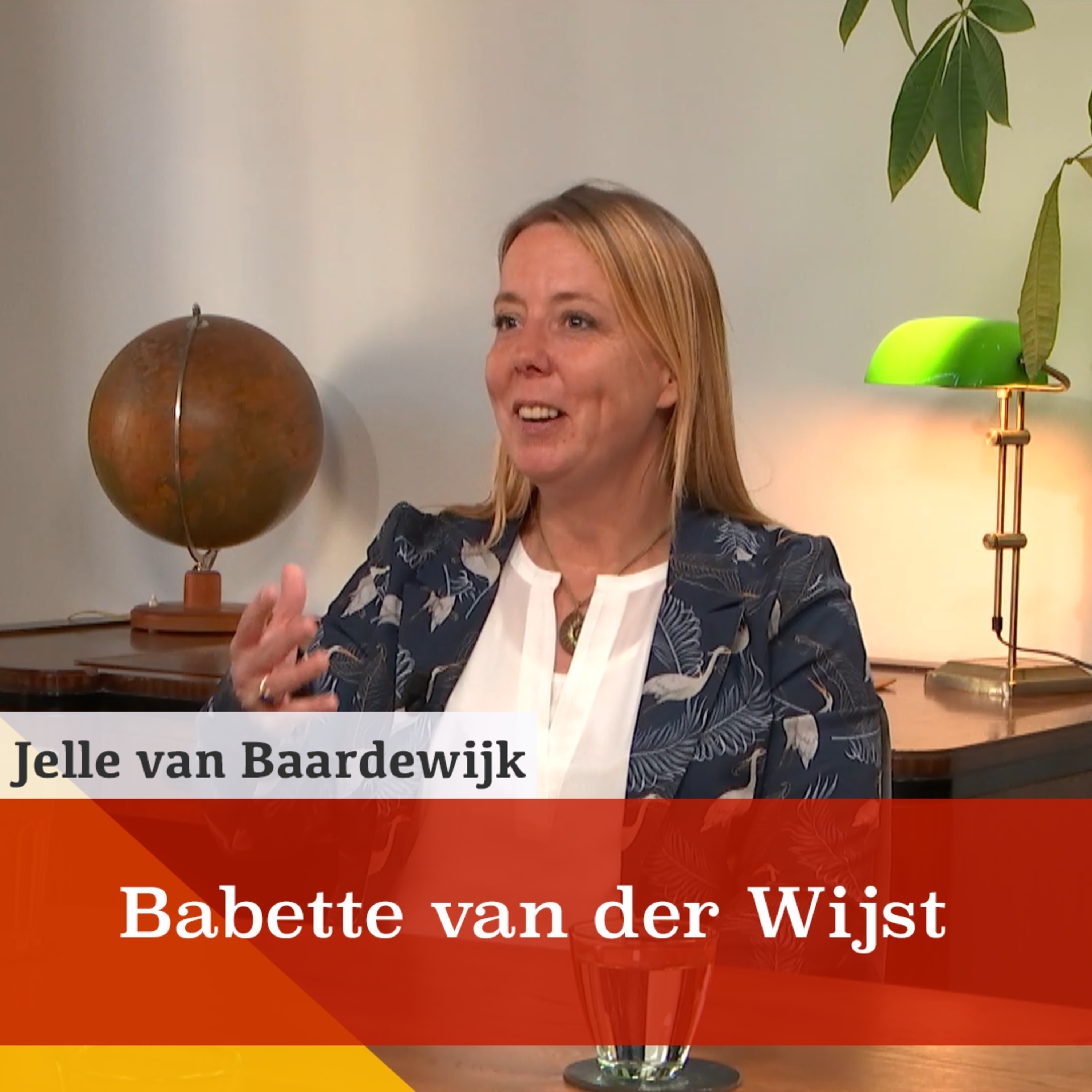 'Luister naar je krachtdier!' Een gesprek met Babette van der Wijst episode artwork
