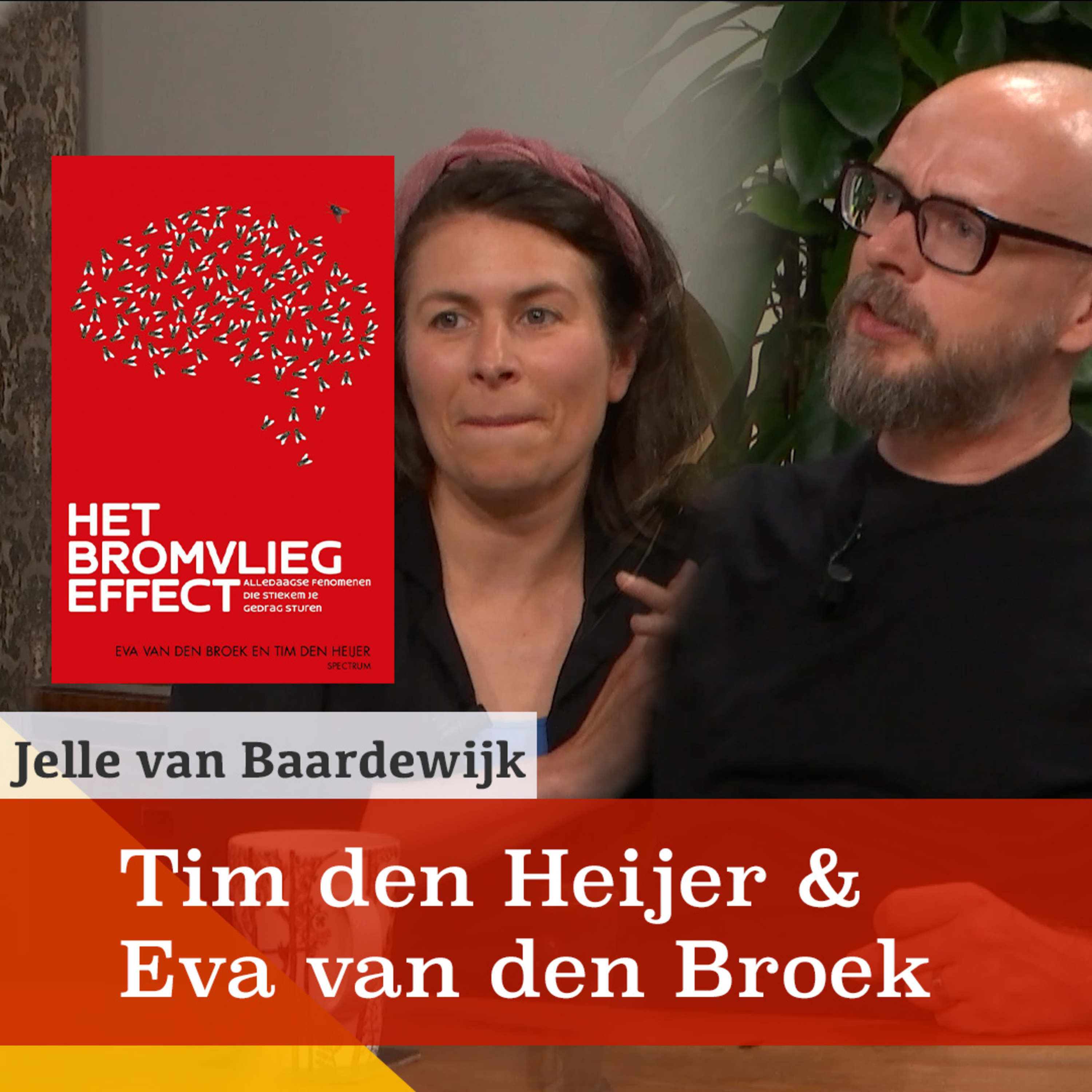 Bromvliegen: hoe bedrijven ons gedrag beïnvloeden. Gesprek met Tim den Heijer & Eva van den Broek episode artwork