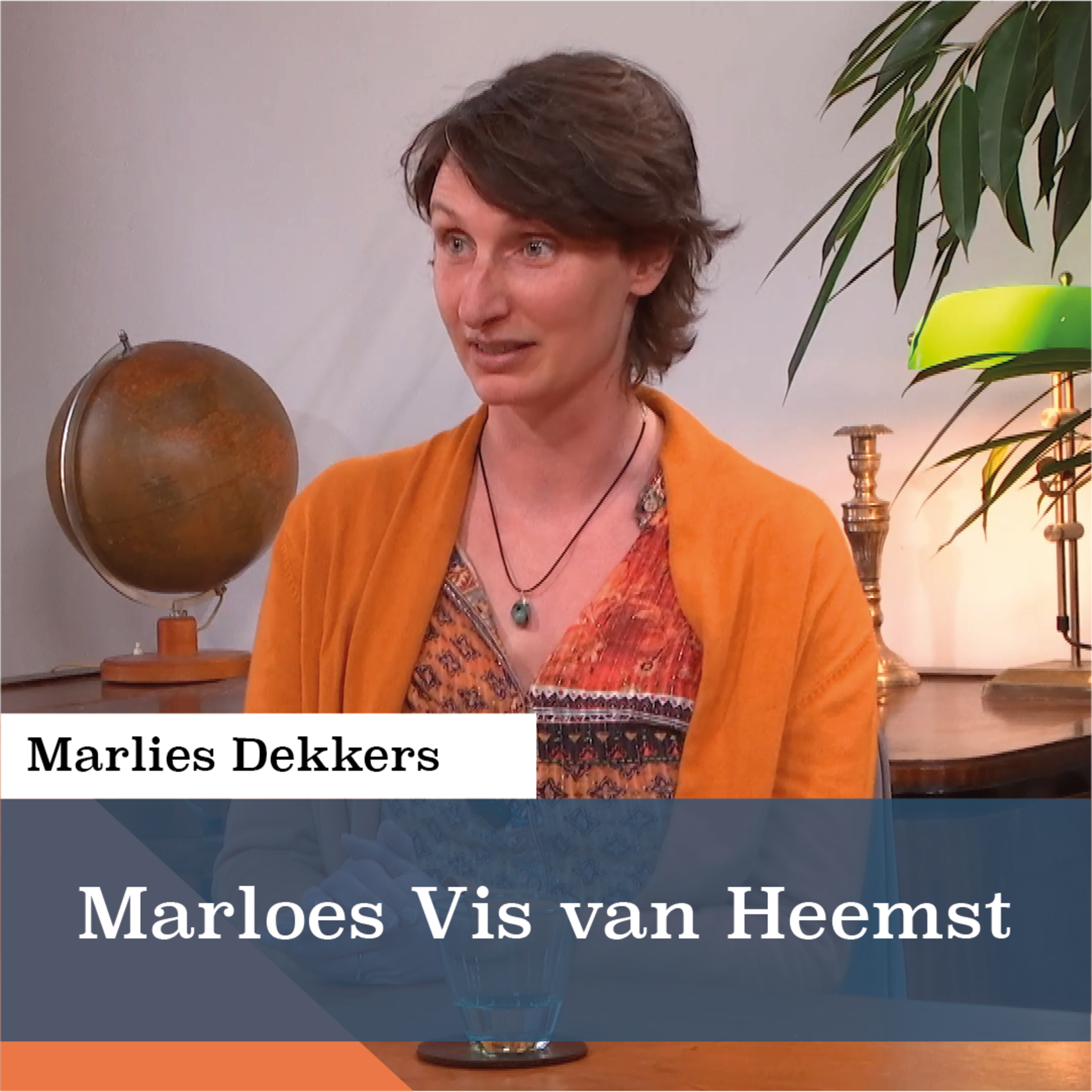 Een boodschap van hoop en herwonnen idealen | Gesprek met Marloes Vis van Heemst episode artwork