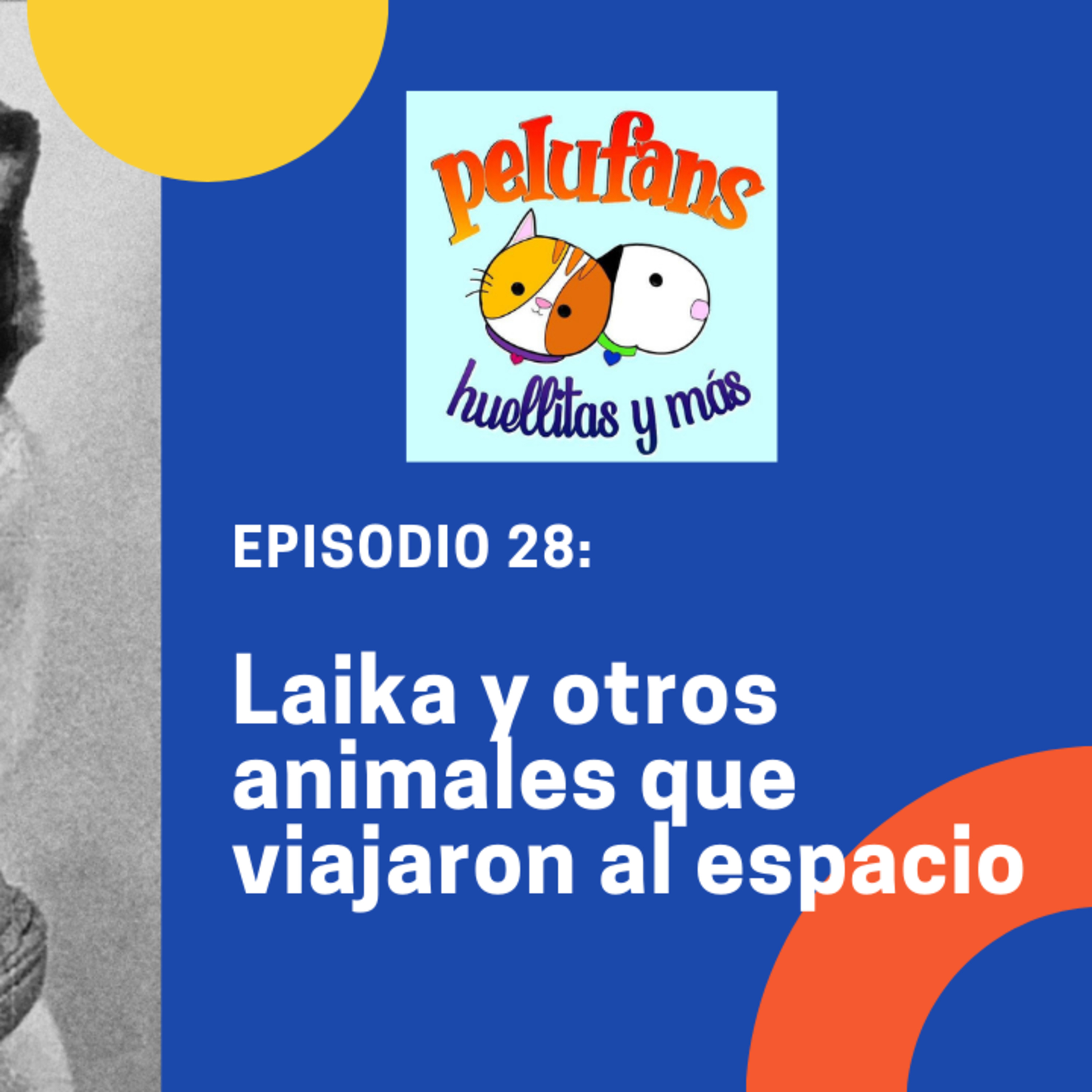 Pelufans, Huellitas Y Más