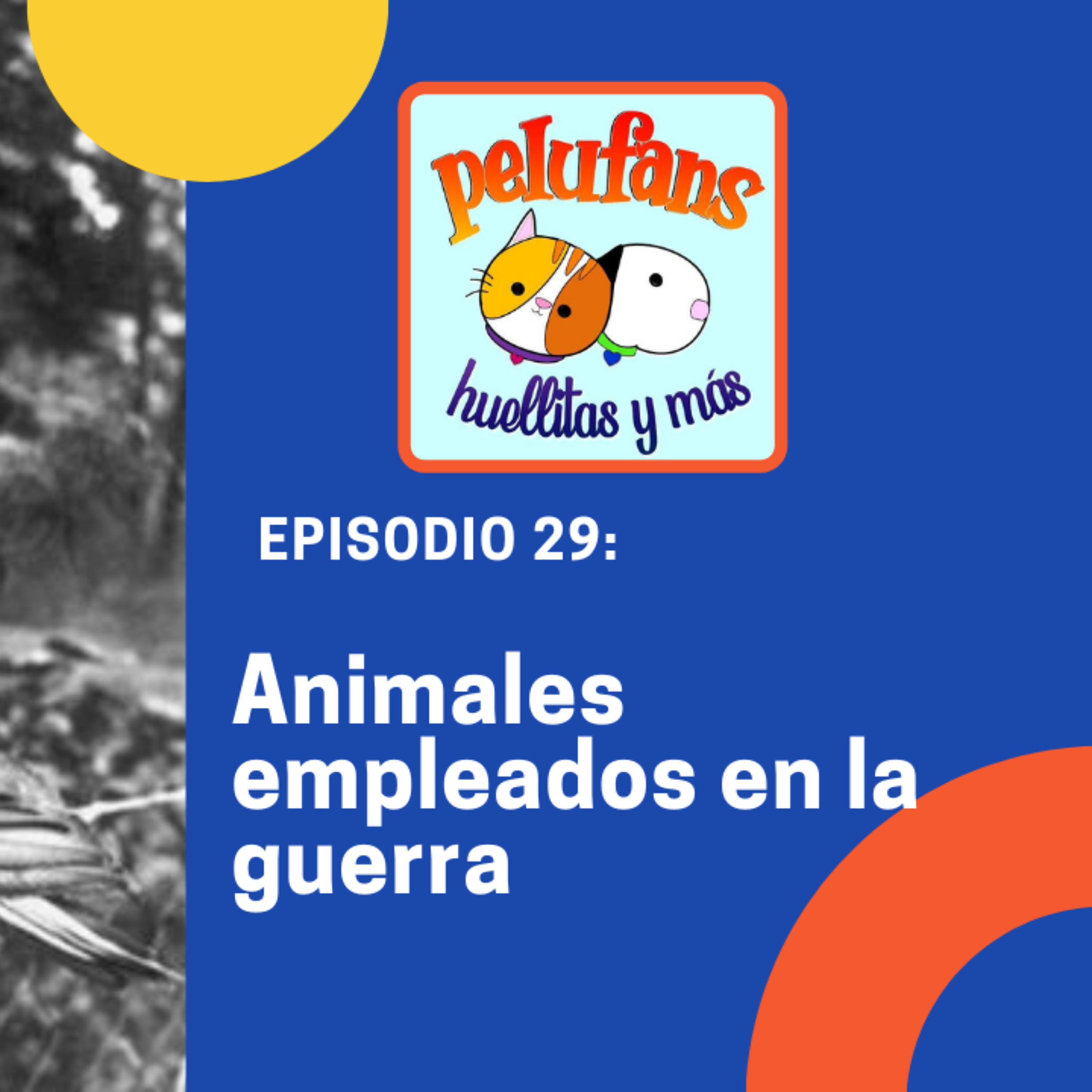 Pelufans, Huellitas Y Más