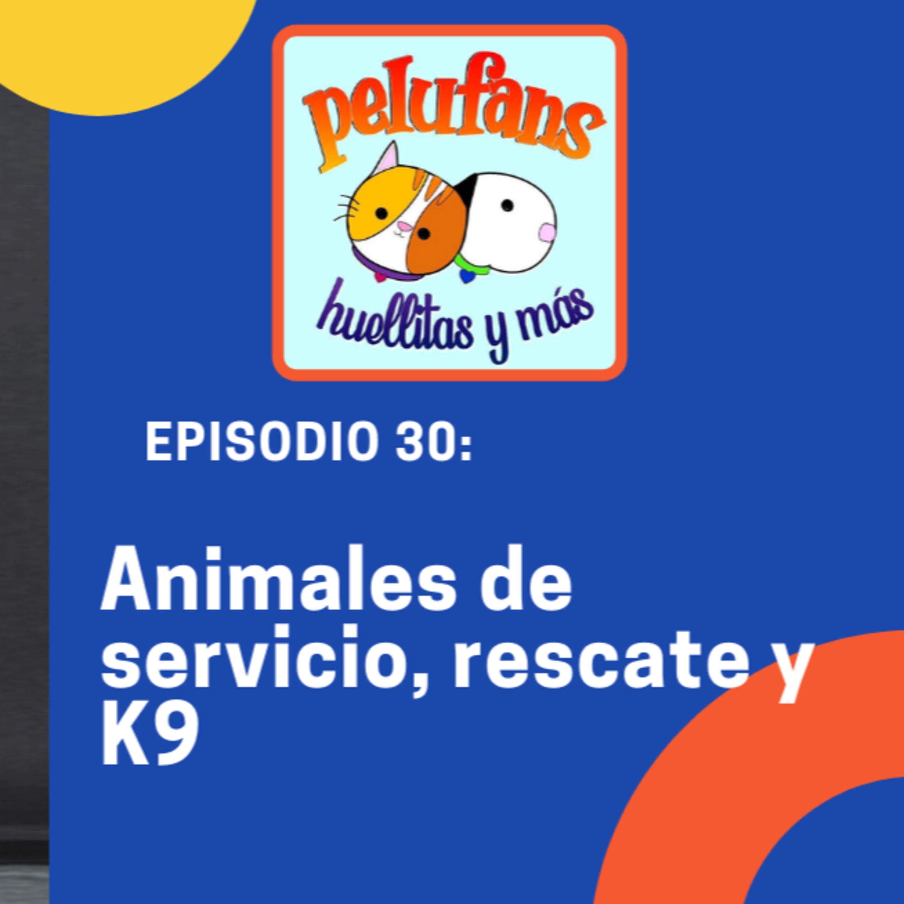 Pelufans, Huellitas Y Más