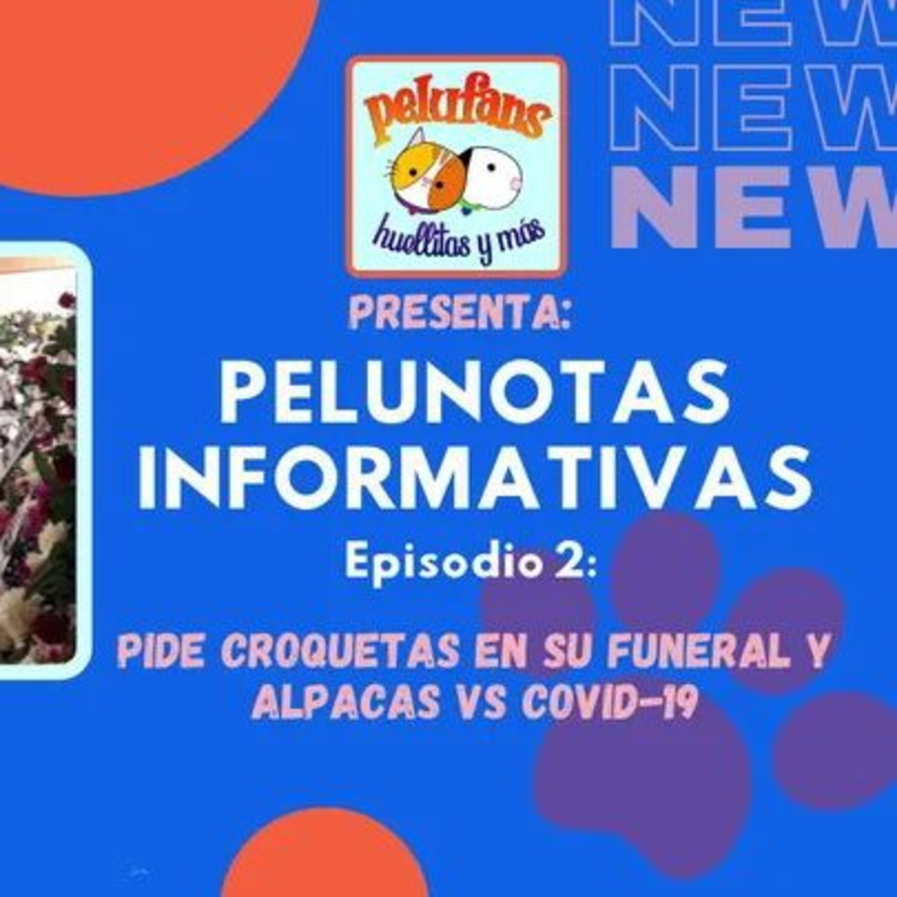 Pelufans, Huellitas Y Más