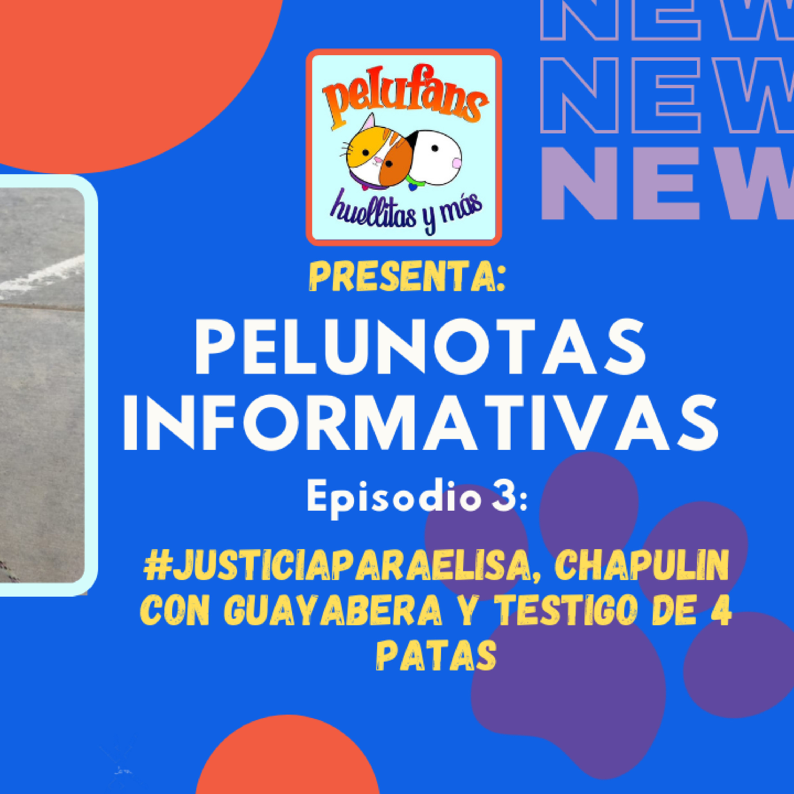 Pelufans, Huellitas Y Más