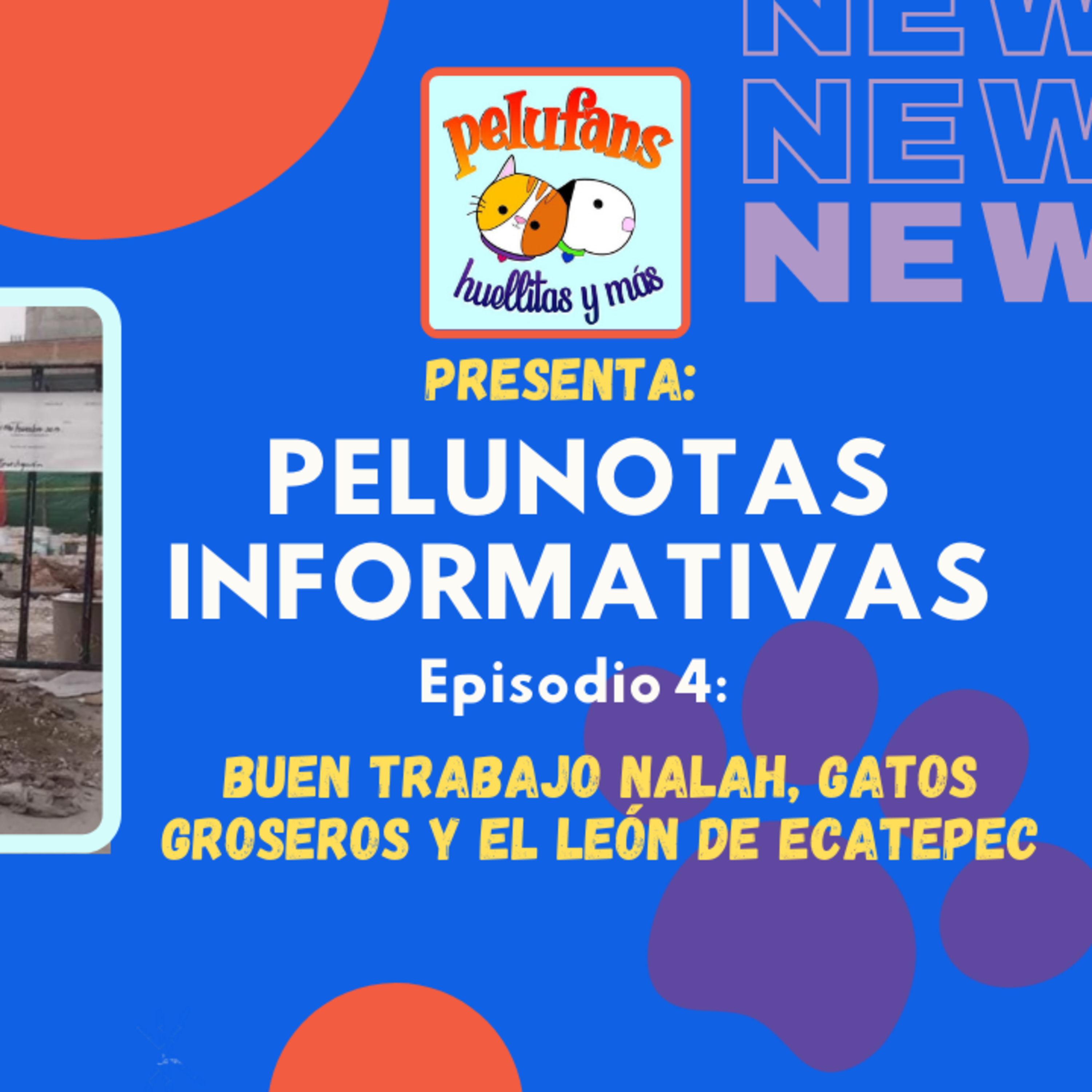 Pelufans, Huellitas Y Más