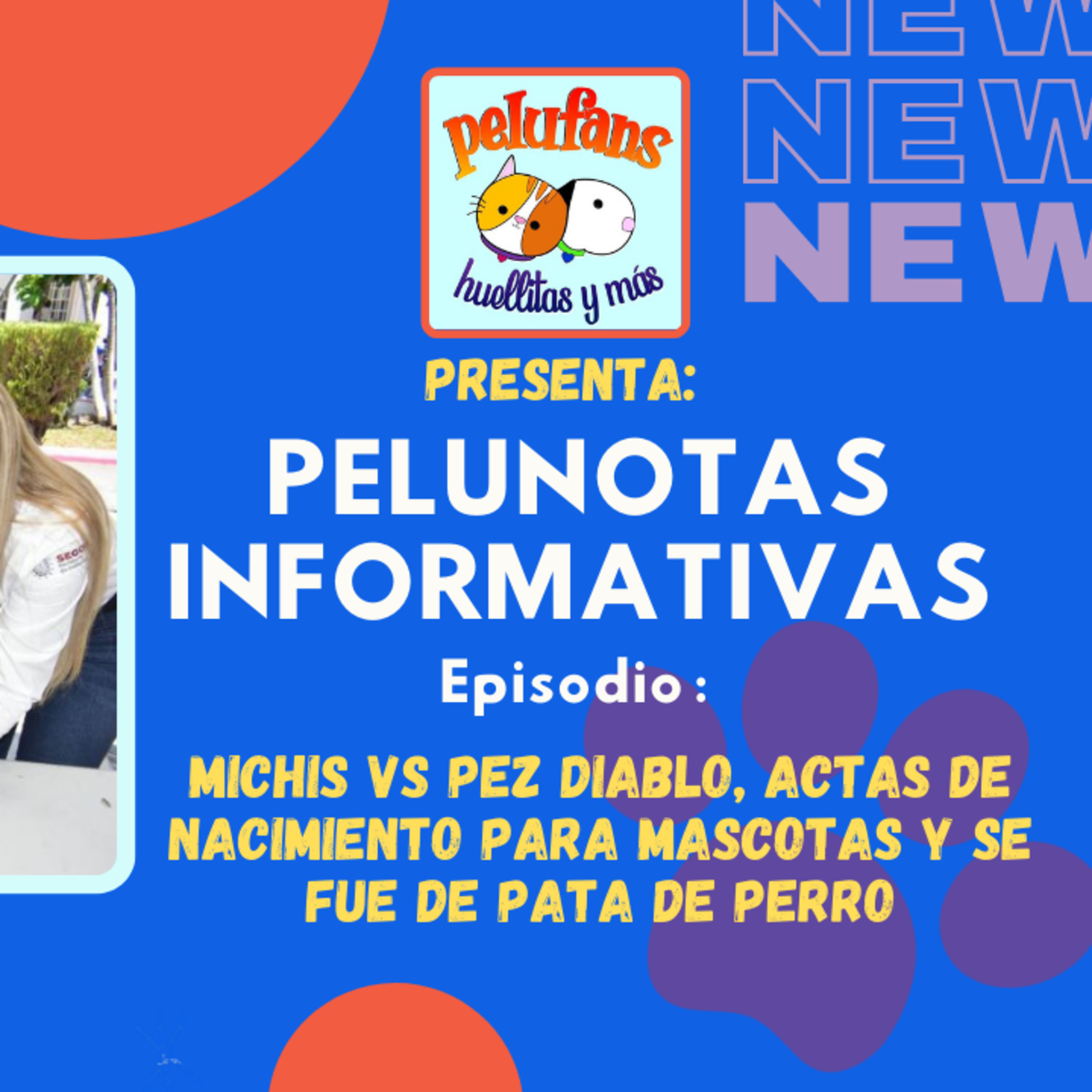 Pelufans, Huellitas Y Más