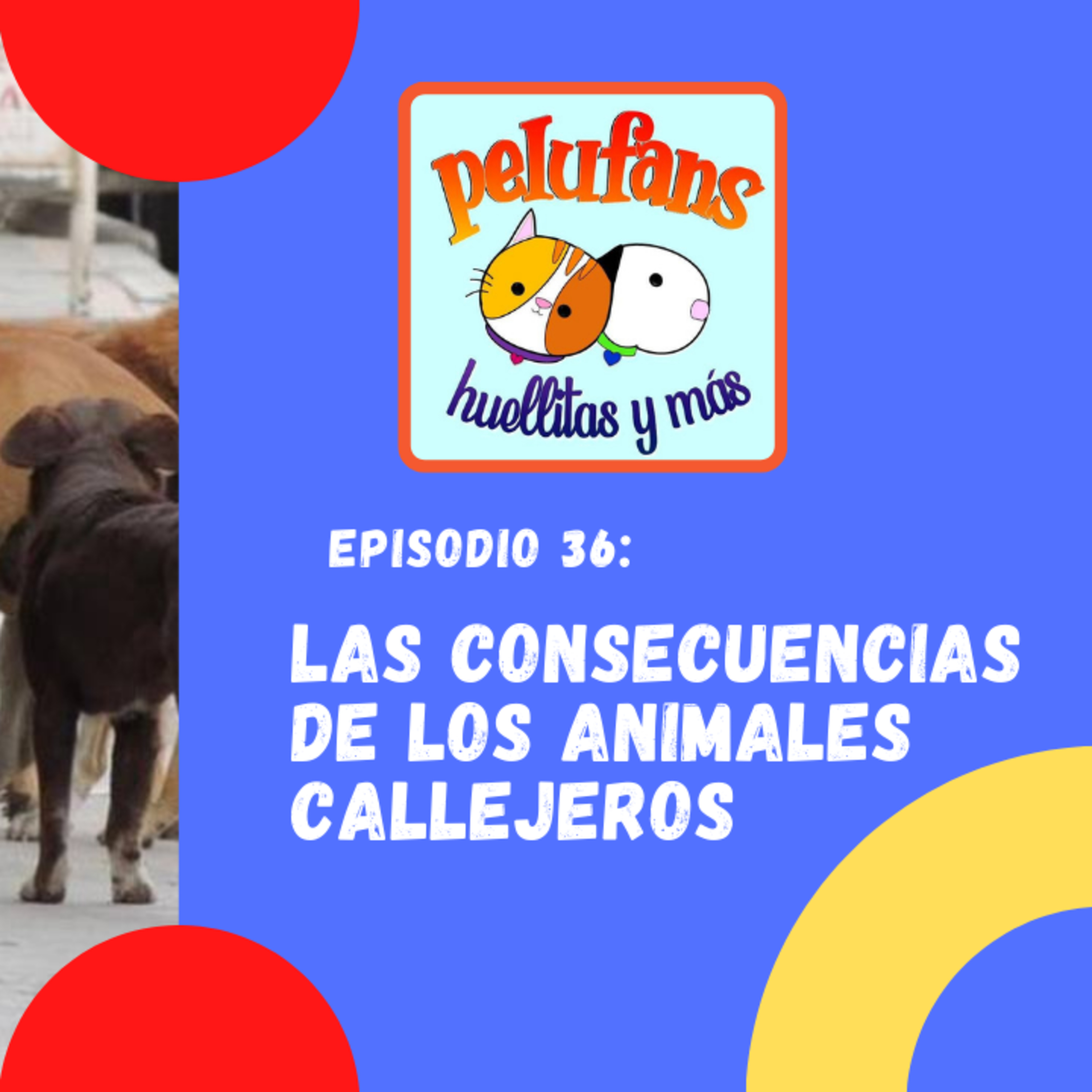 Pelufans, Huellitas Y Más