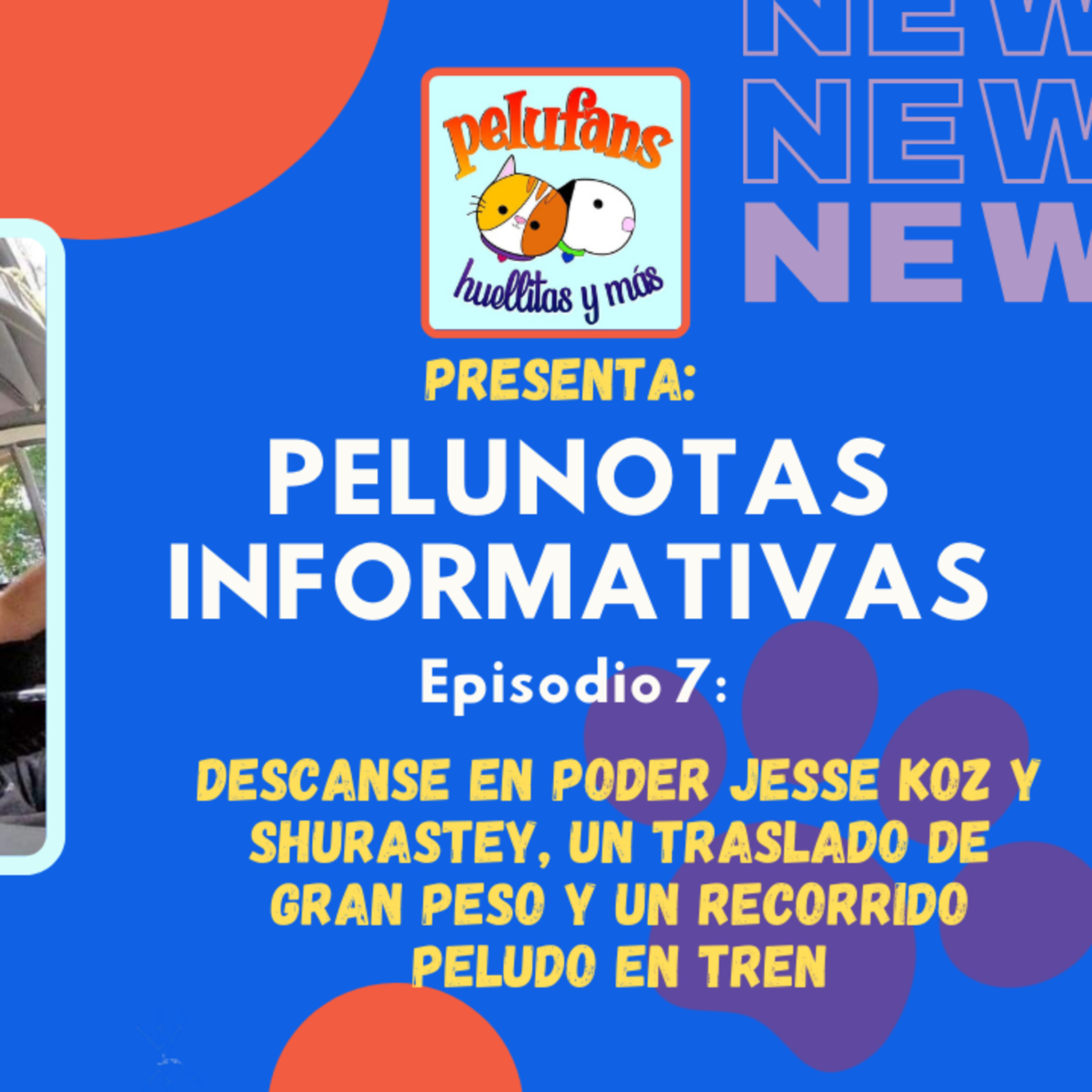 Pelufans, Huellitas Y Más