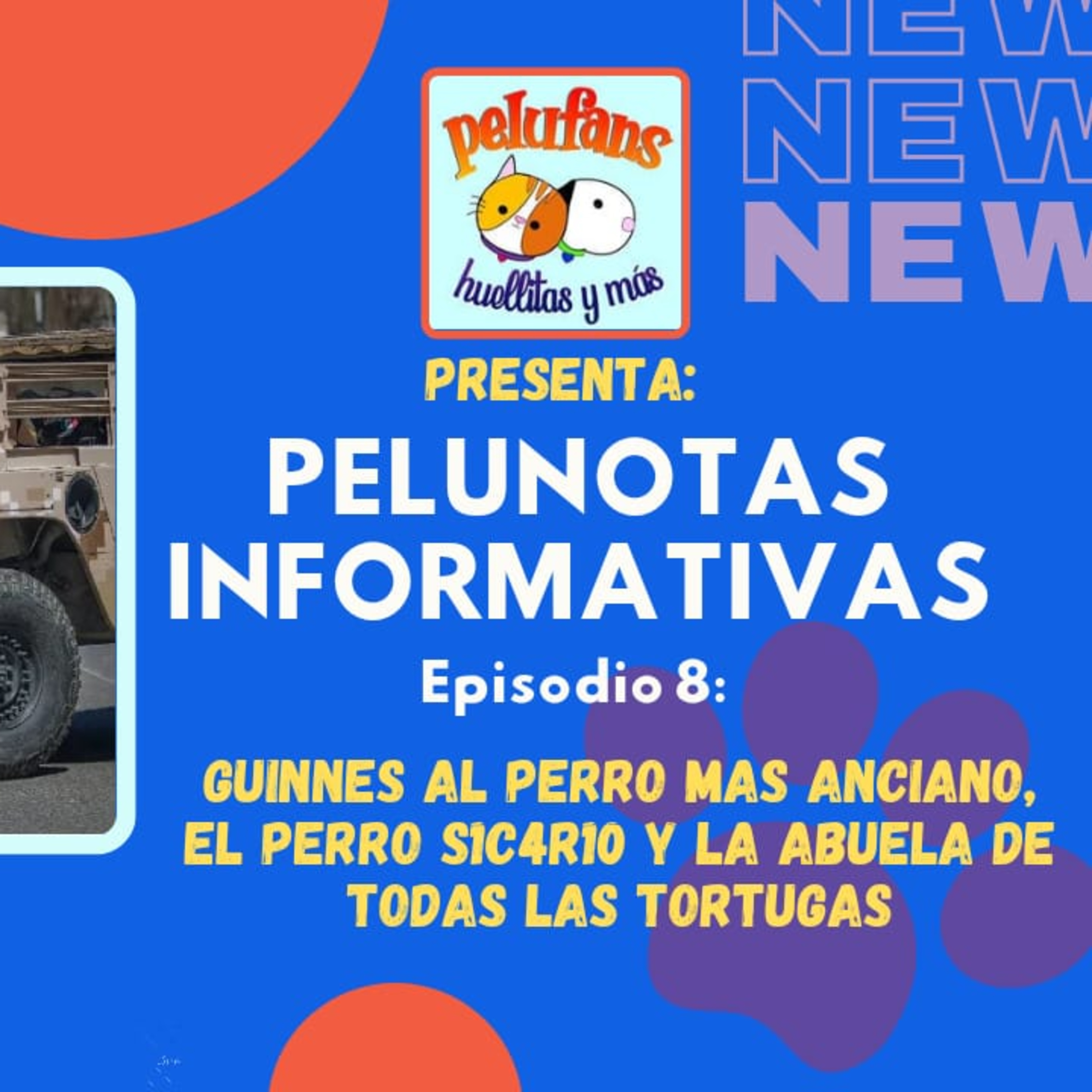 Pelufans, Huellitas Y Más