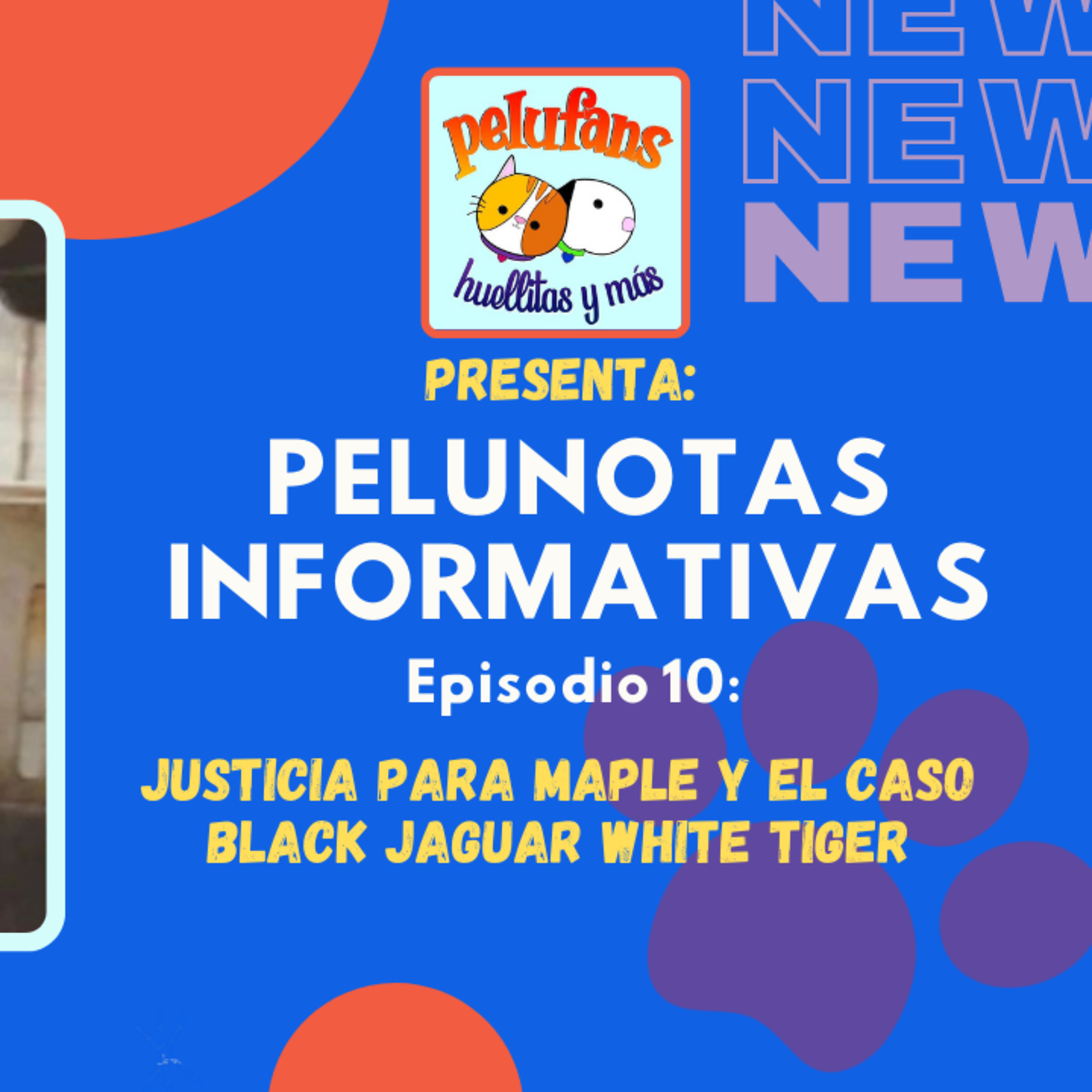 Pelufans, Huellitas Y Más