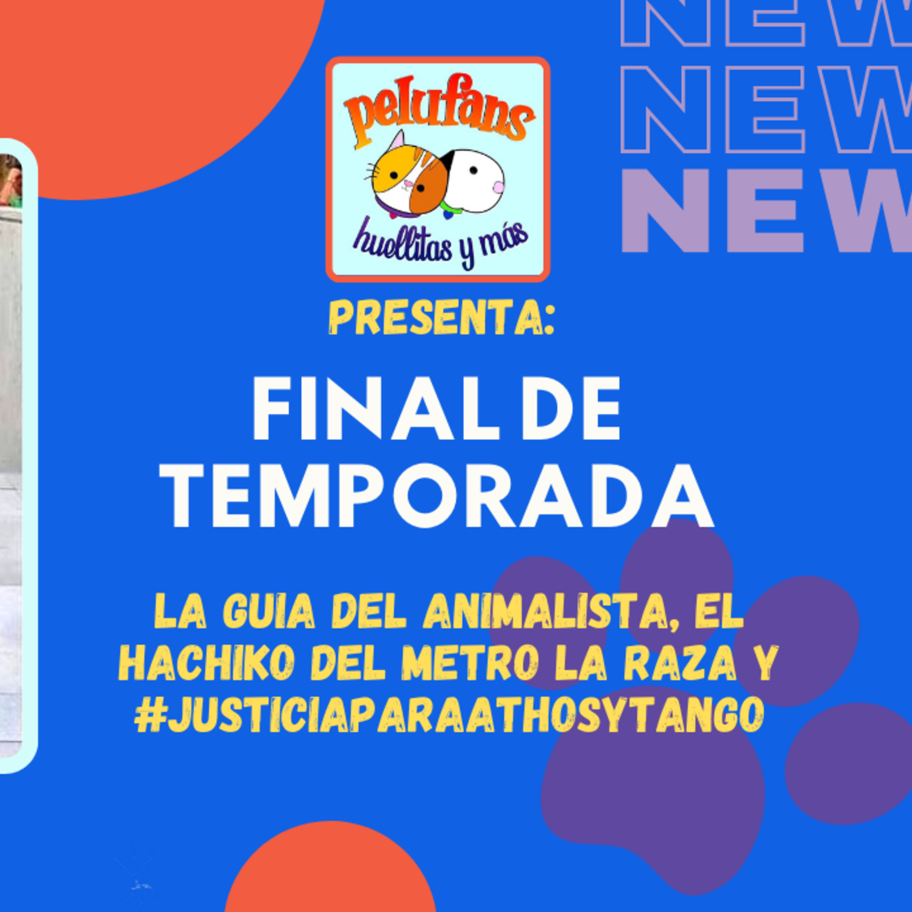 Pelufans, Huellitas Y Más
