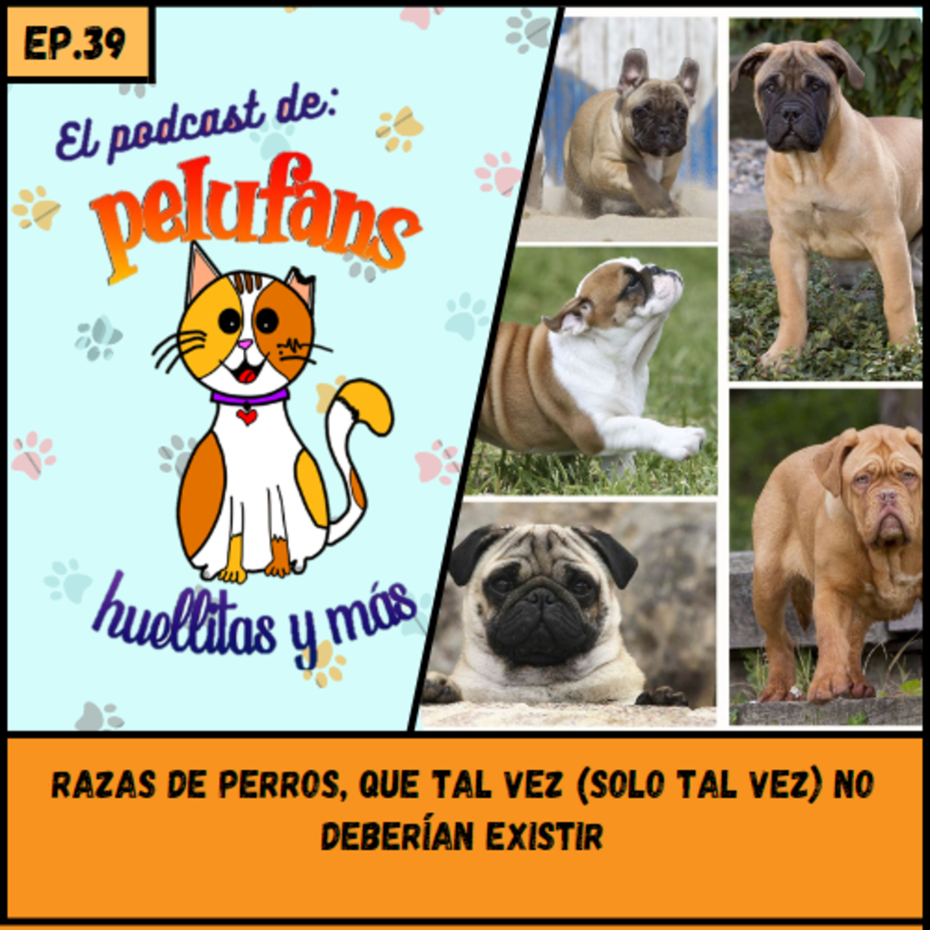 Pelufans, Huellitas Y Más