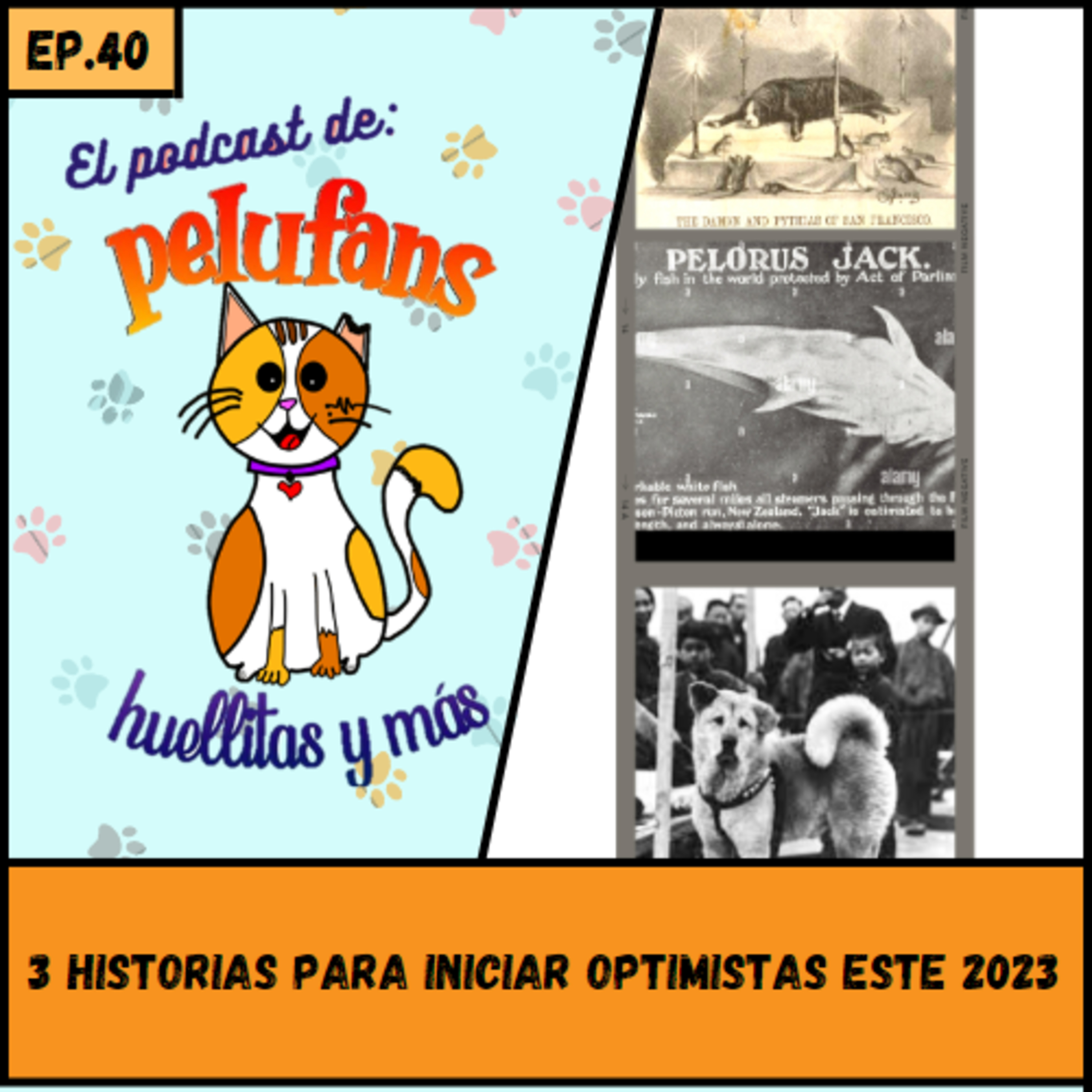Pelufans, Huellitas Y Más