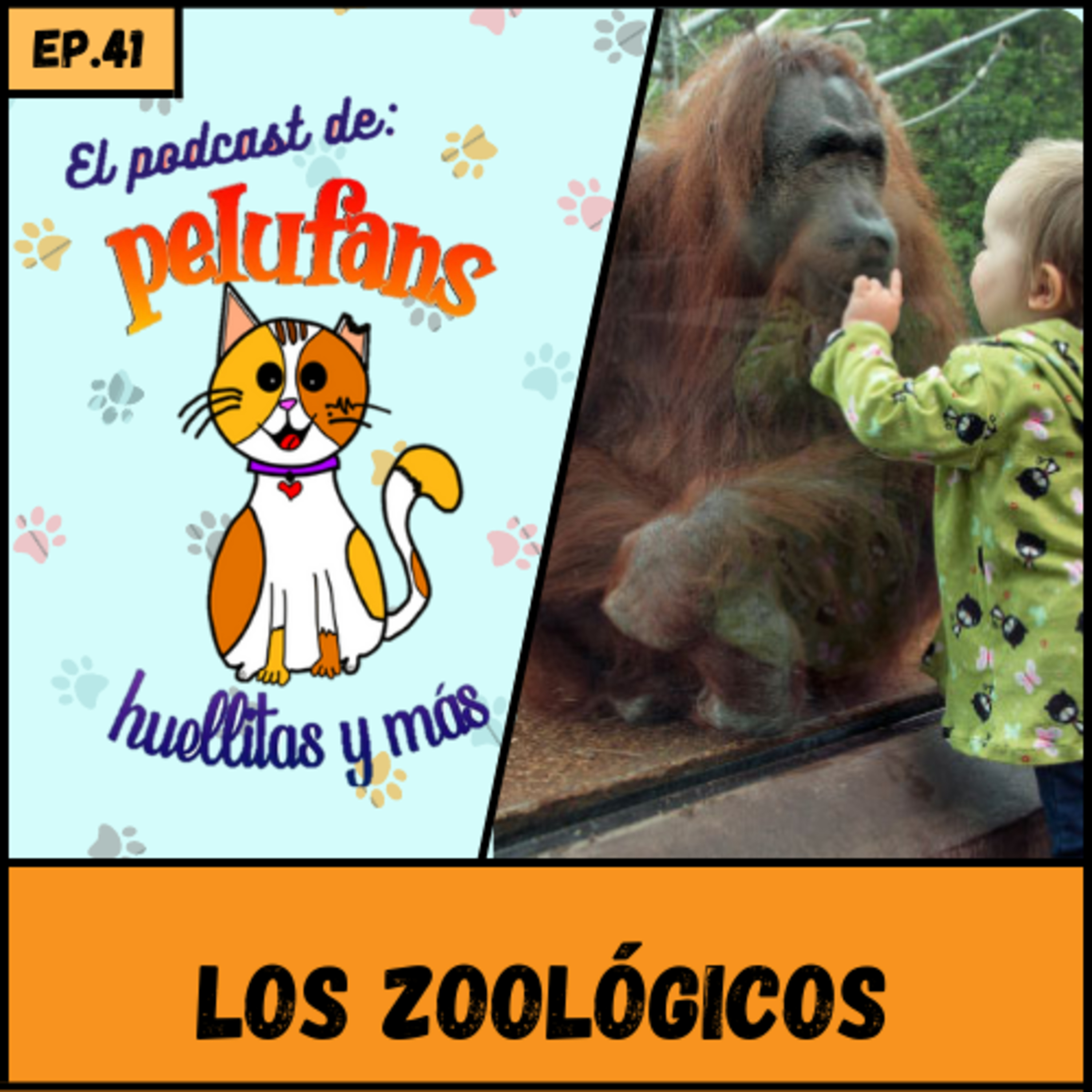 Pelufans, Huellitas Y Más