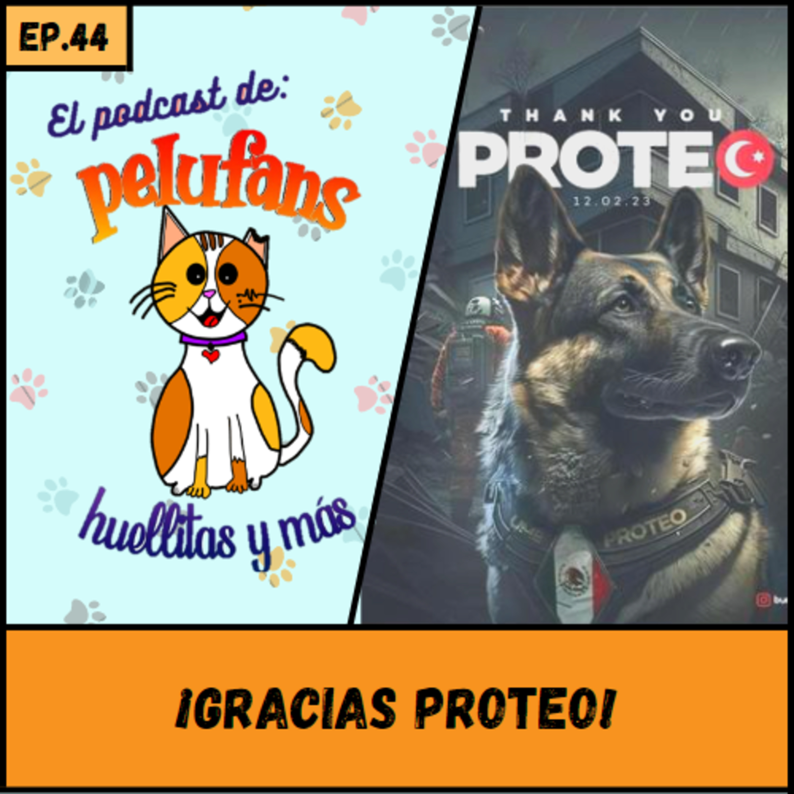Pelufans, Huellitas Y Más