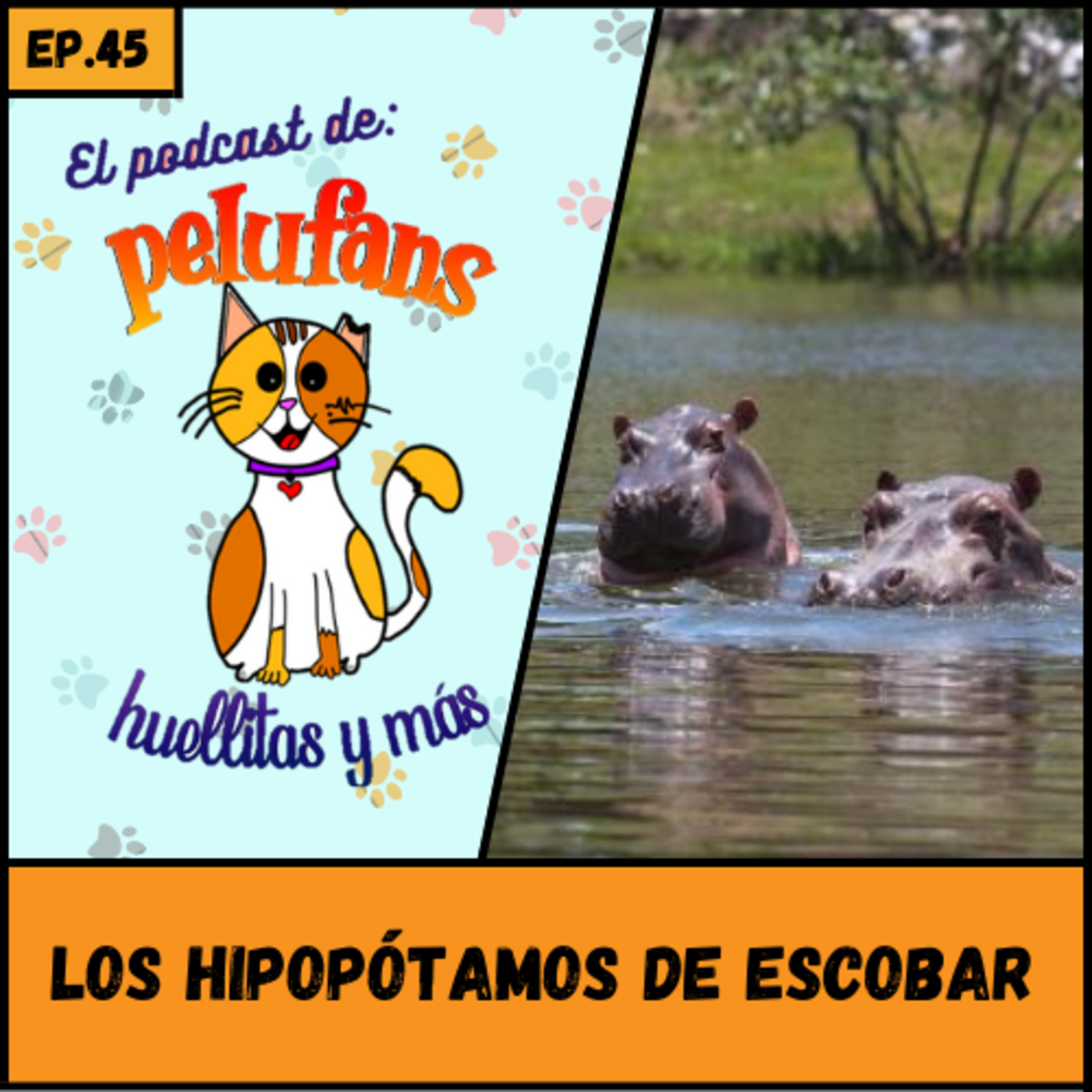 Pelufans, Huellitas Y Más