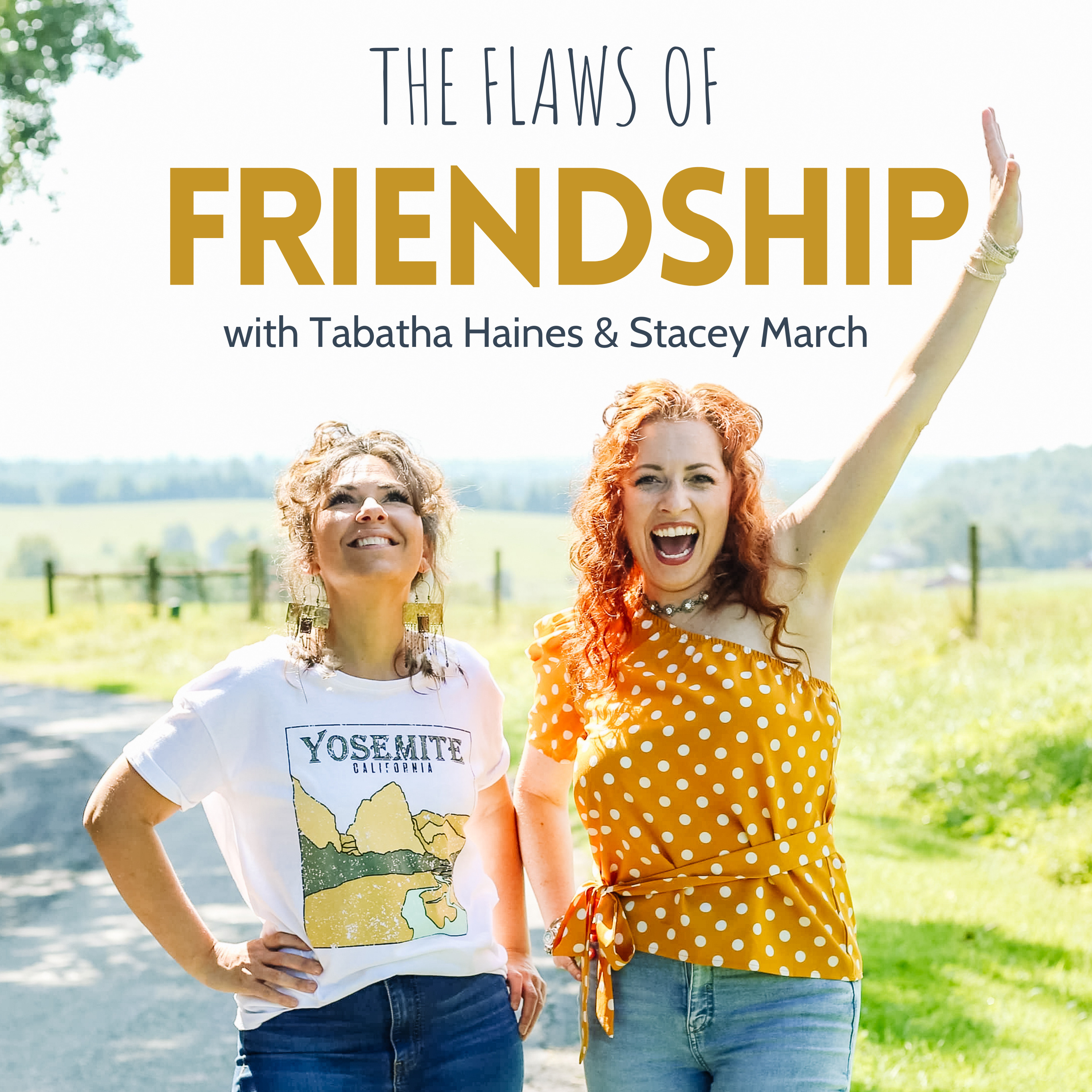 27. When Time Doesn't Heal Us, Maybe It's a Friend We're Waiting On episode artwork