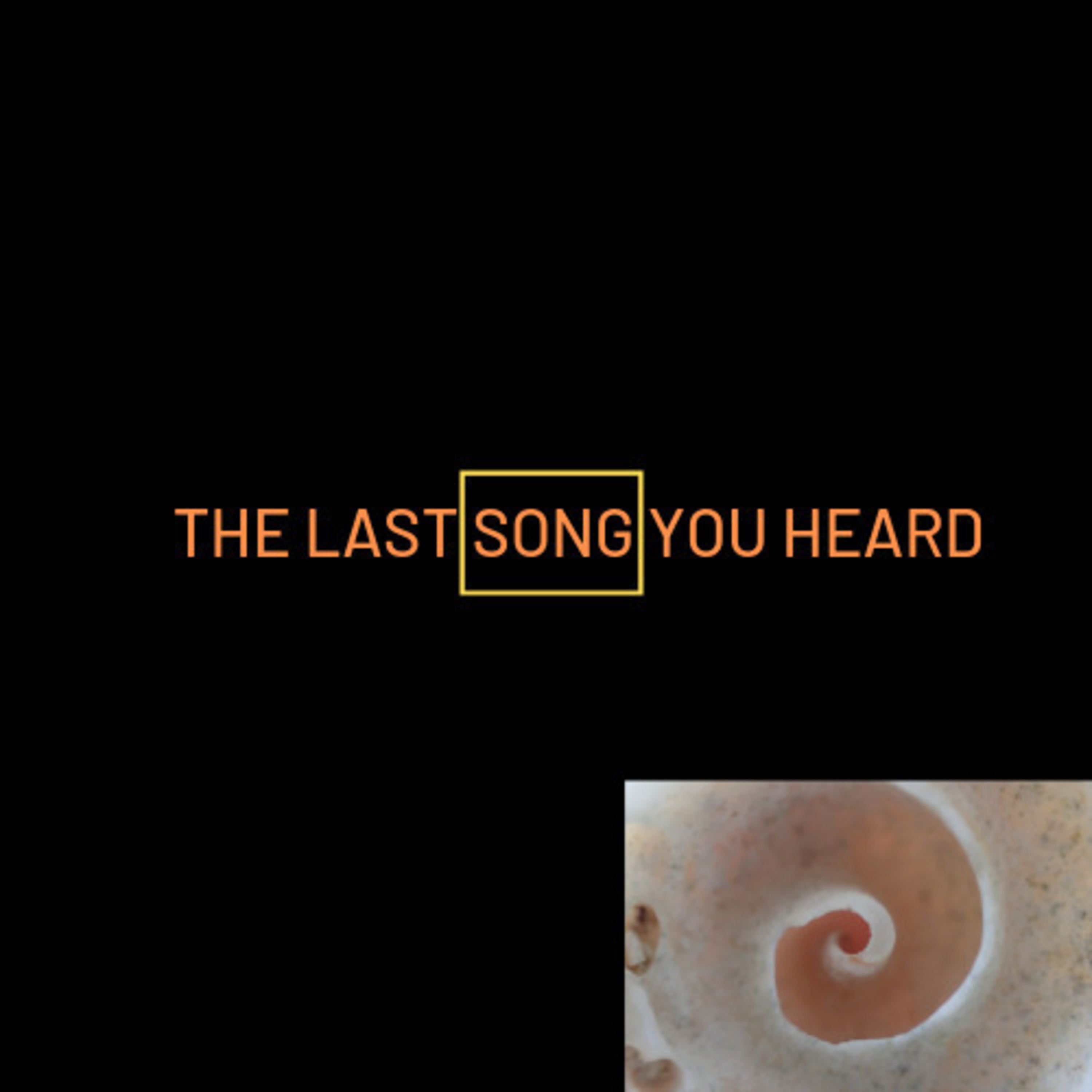 The Last Song You Heard
