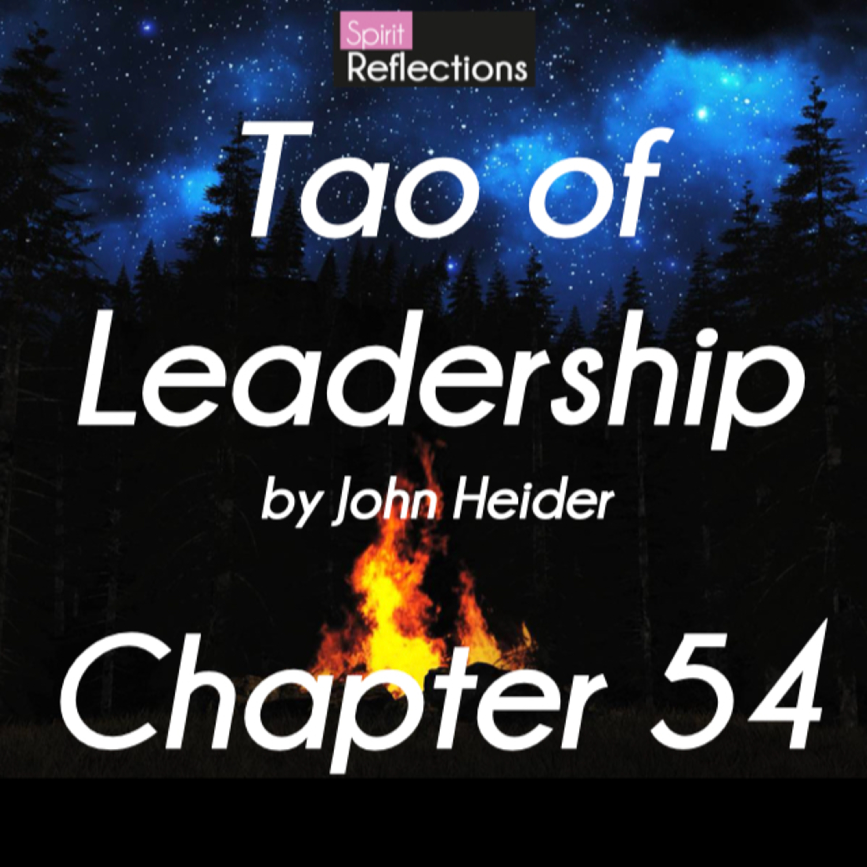 Ch 54 - Tao of Leadership by John Heider - study, commentary and meditation episode artwork