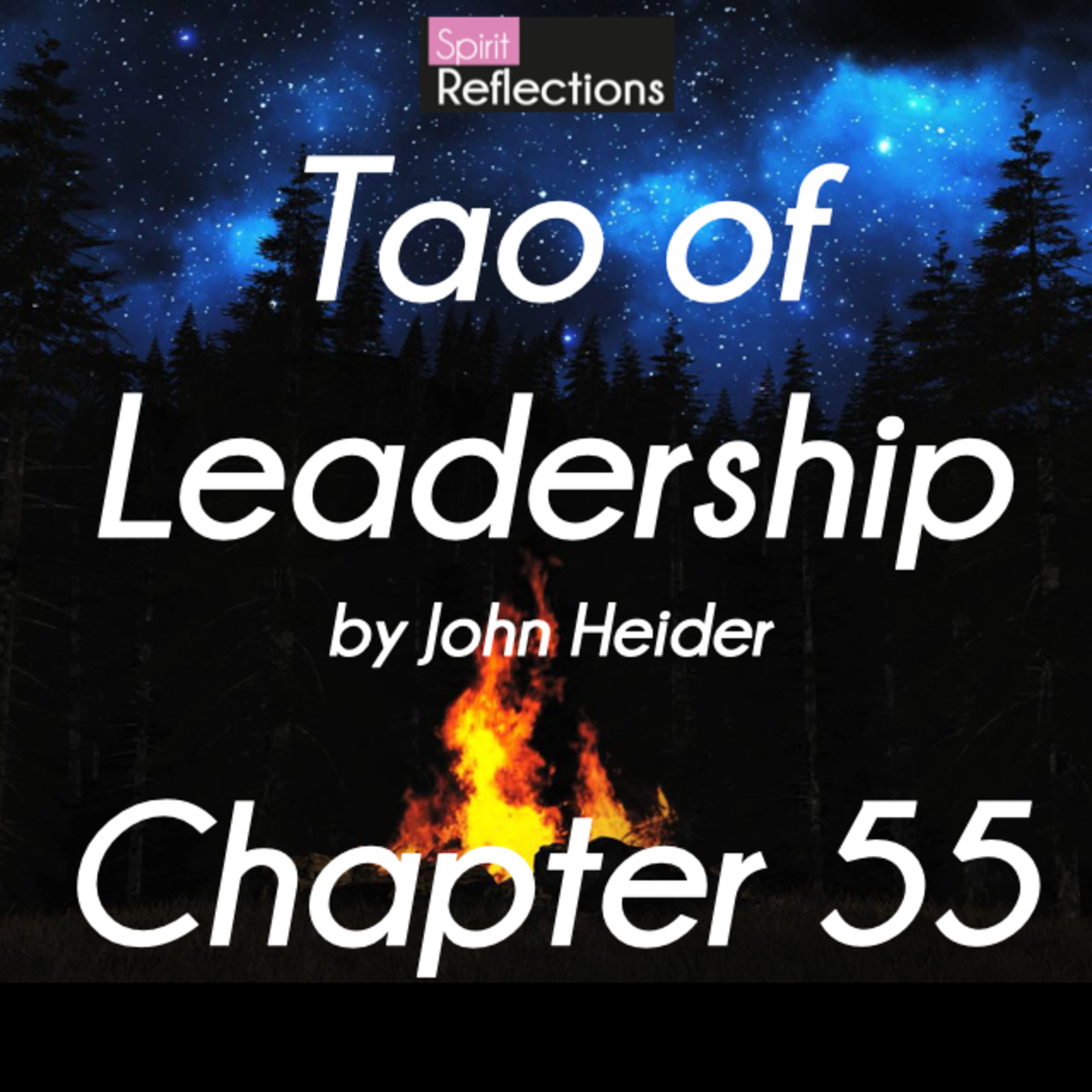 Ch 55 - Tao of Leadership by John Heider - study, commentary and meditation episode artwork