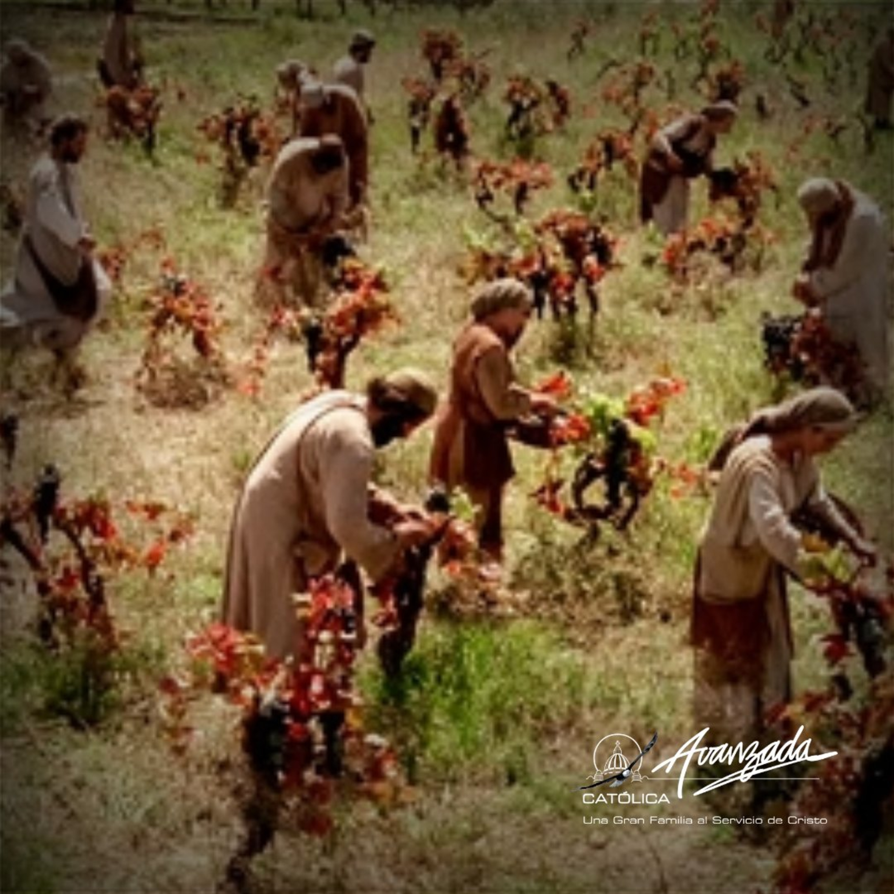 Miércoles 20 del T.O. - La alegría de escuchar la llamada de Dios (17-08-2022) episode artwork