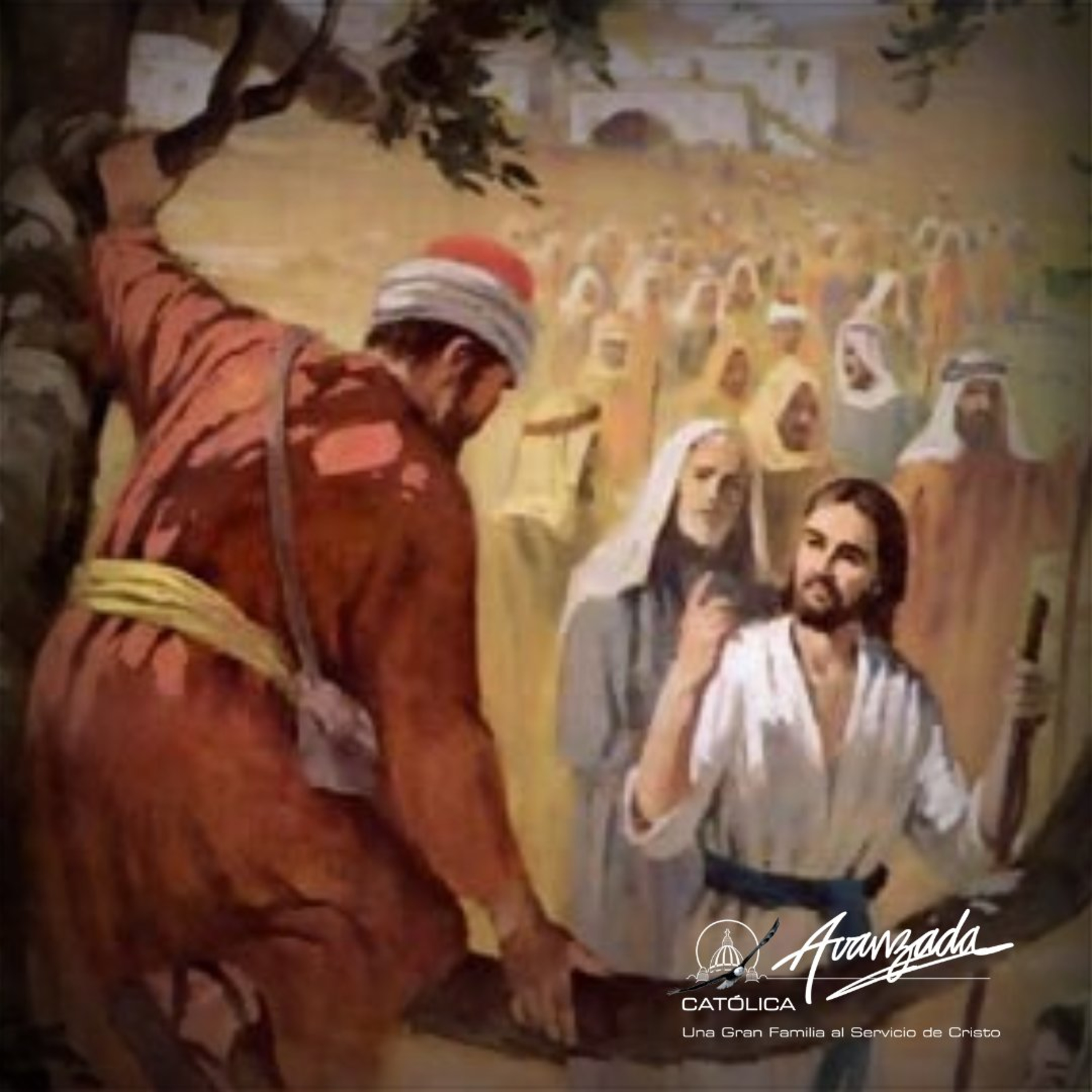 Martes 33 del T.O. - La conversión implica un cambio de vida (15-11-2022) episode artwork