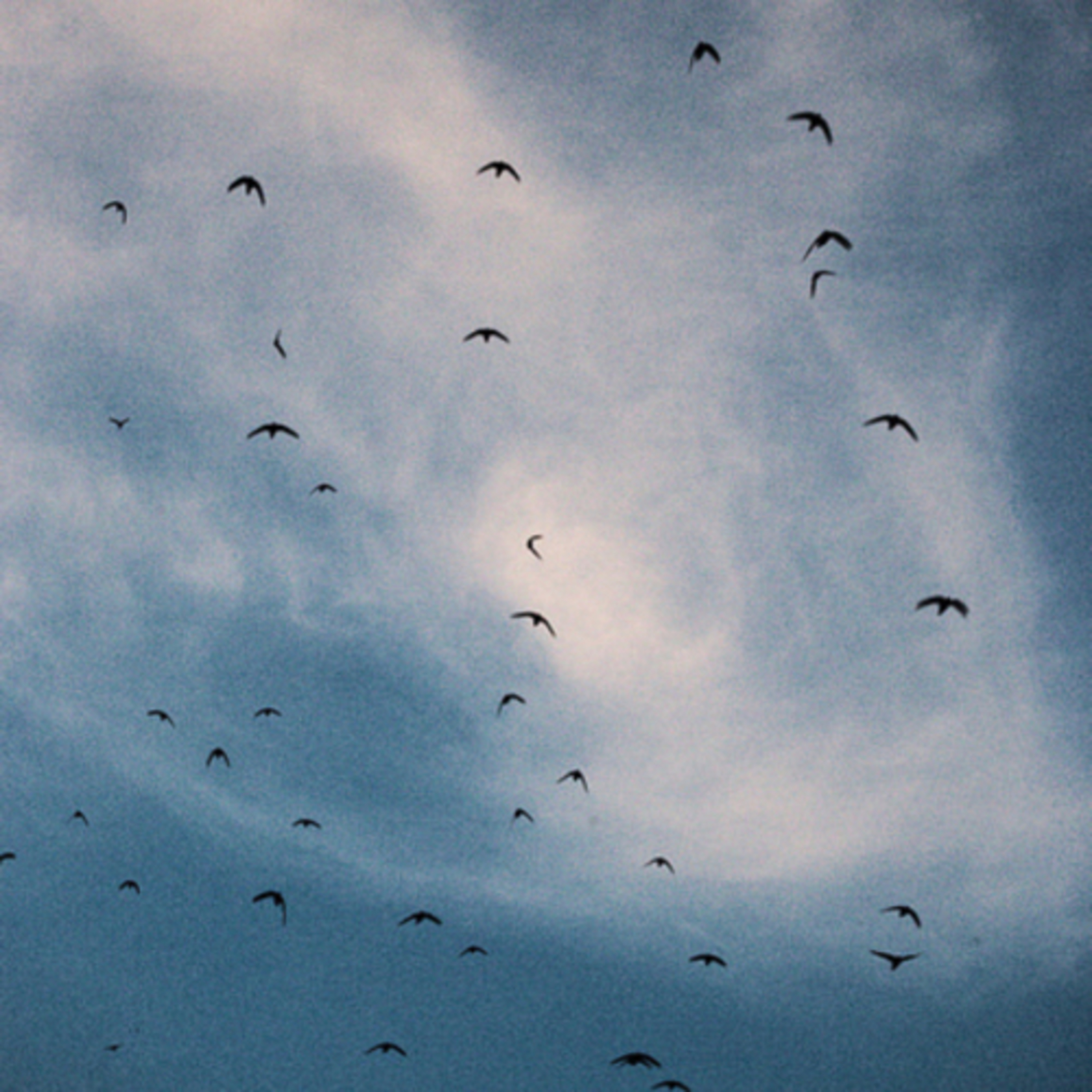 Poesía