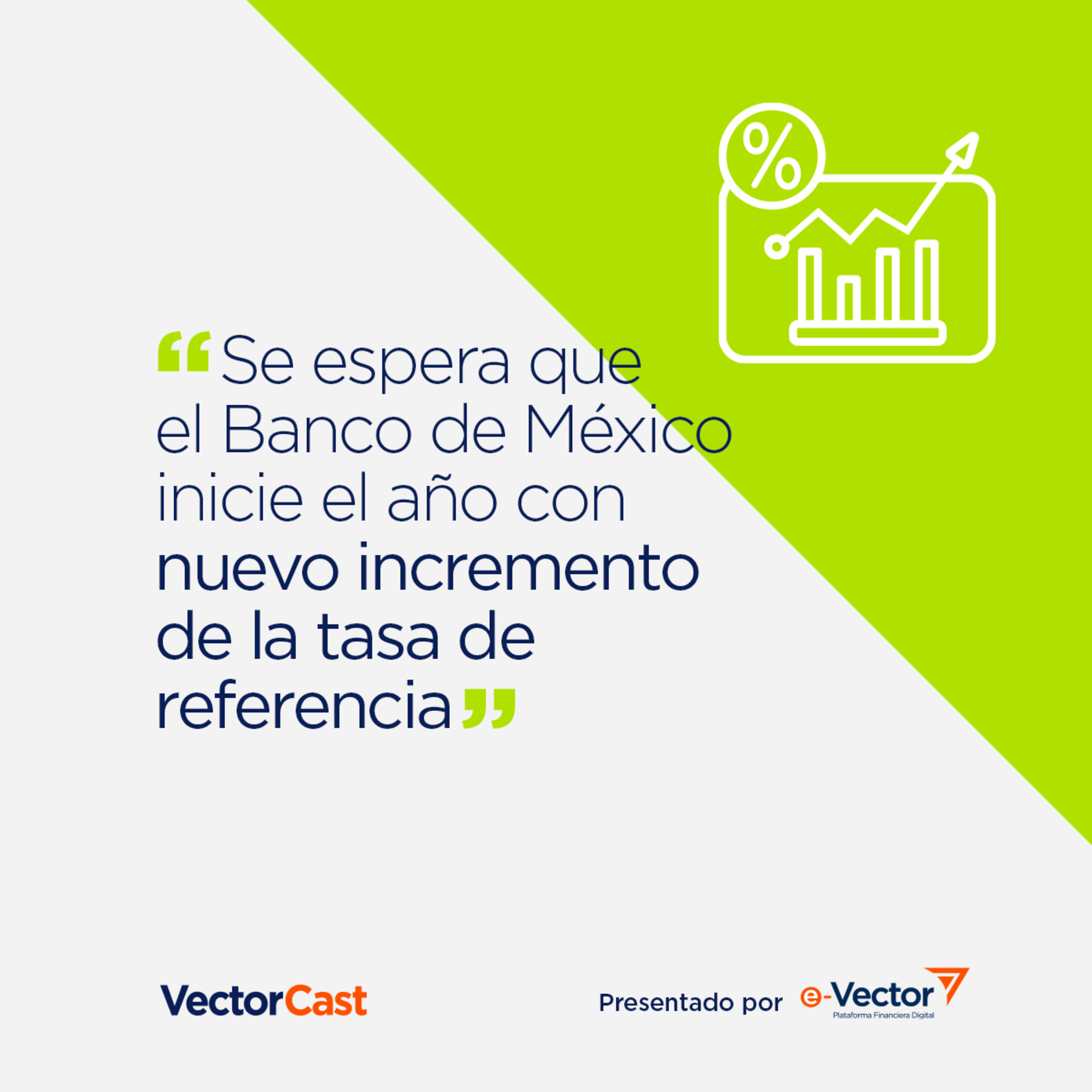VectorCast