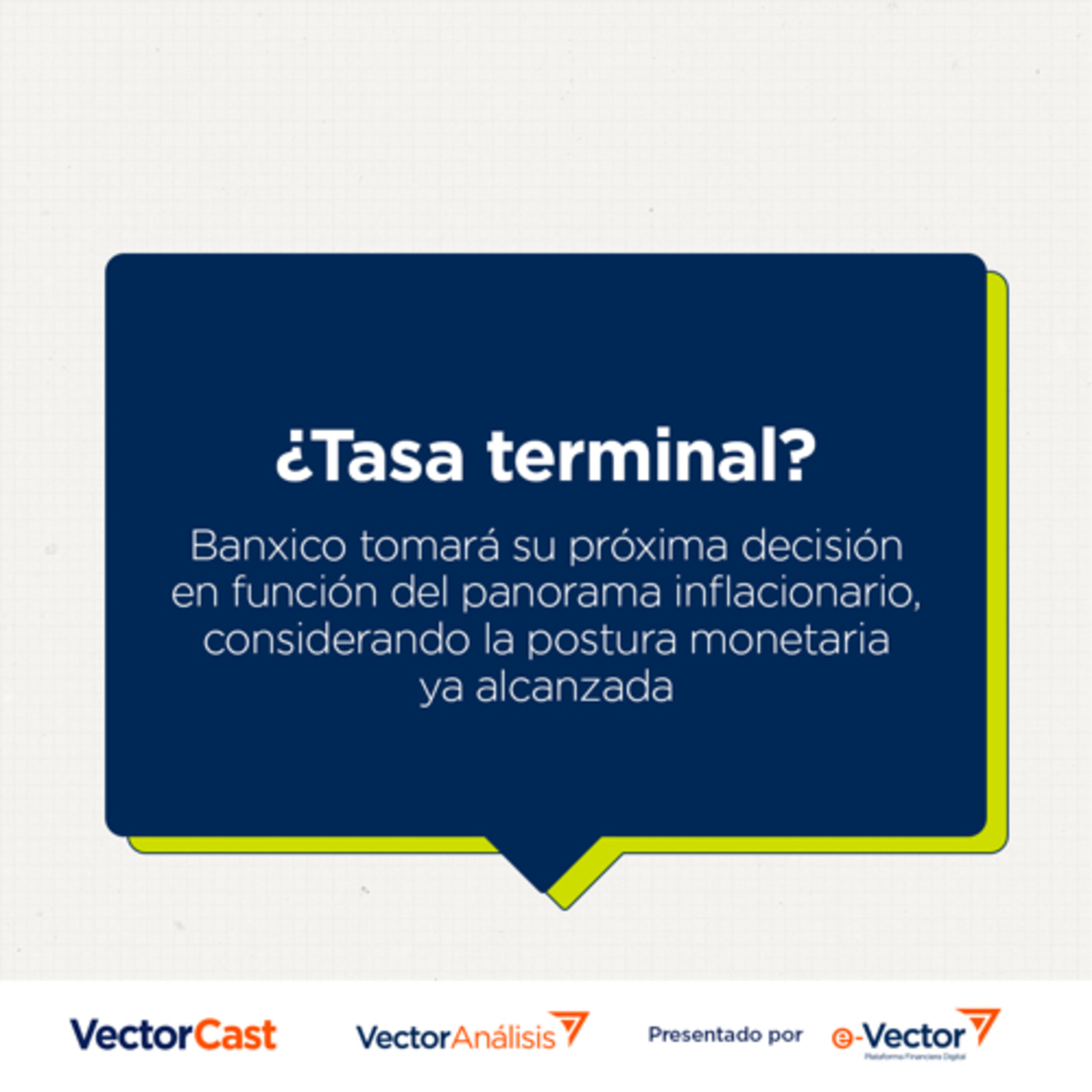 VectorCast