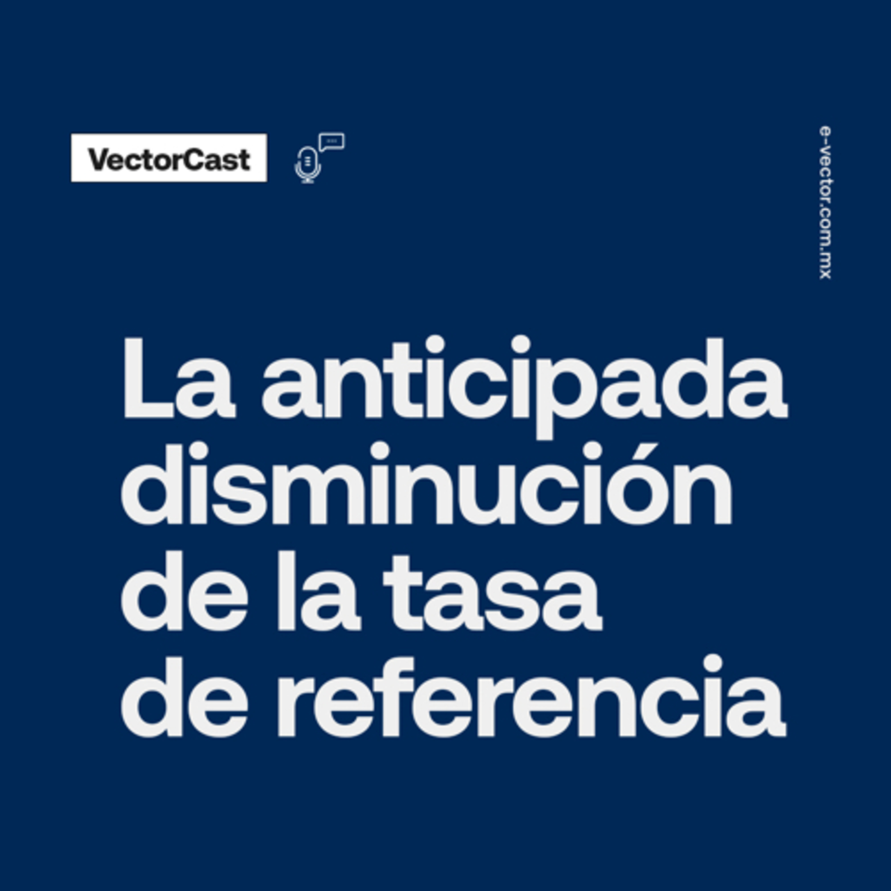 VectorCast