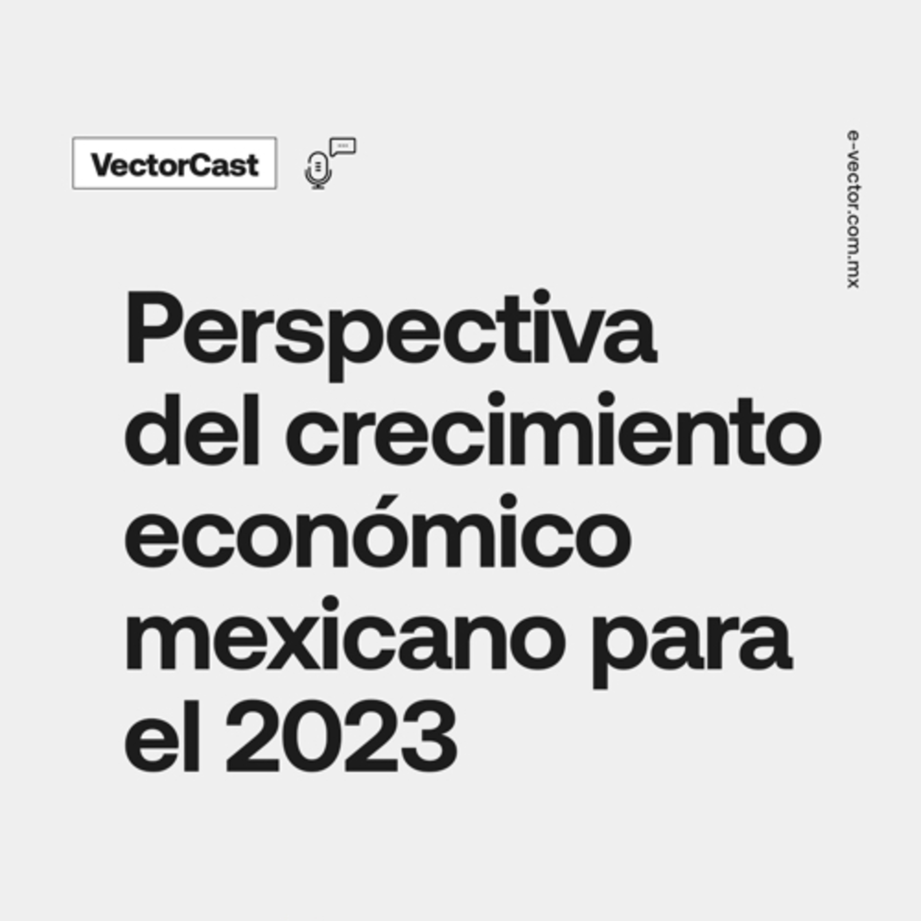 VectorCast